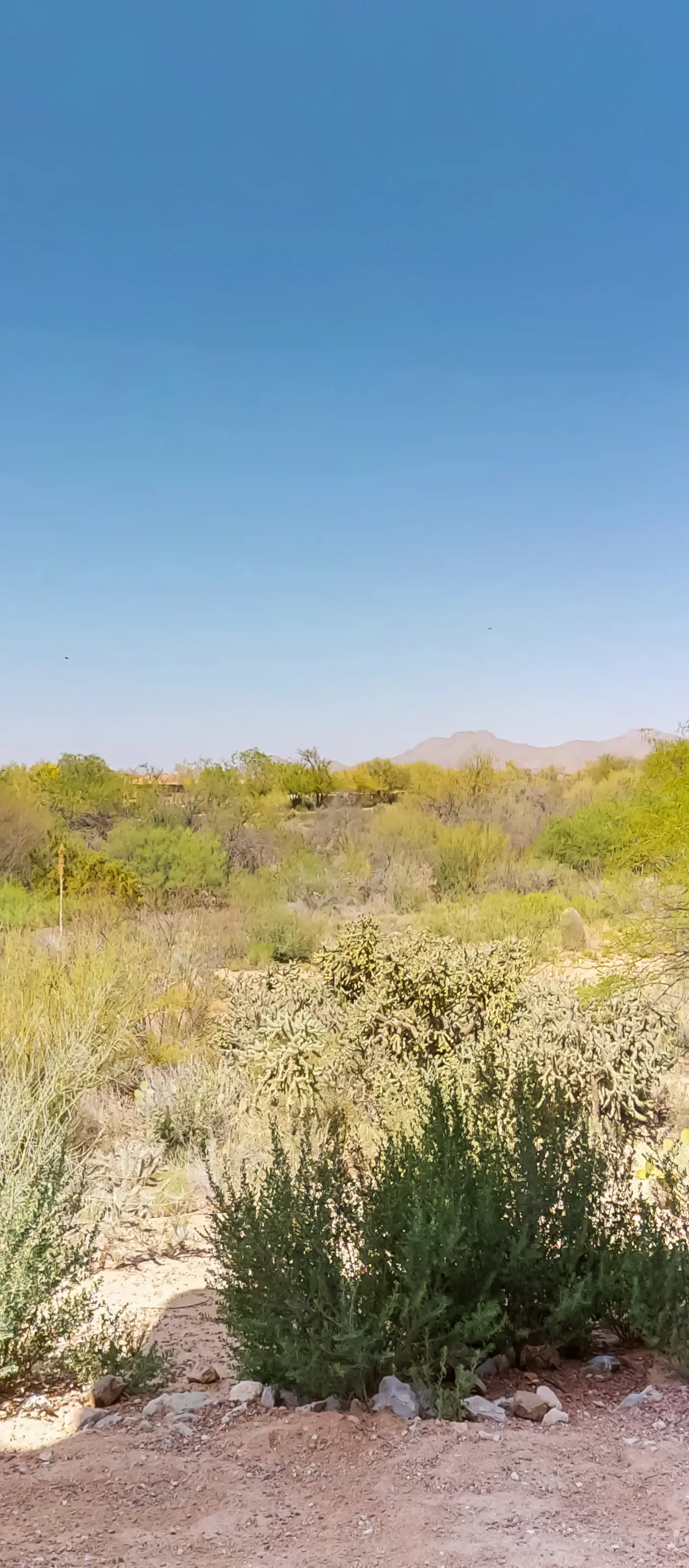 Vistoso Resort Casita #126