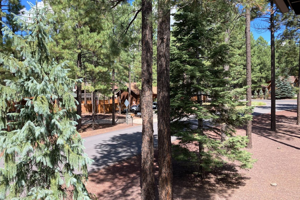 Bohemian condo with updated interior, work desk, fireplace, & mountain views