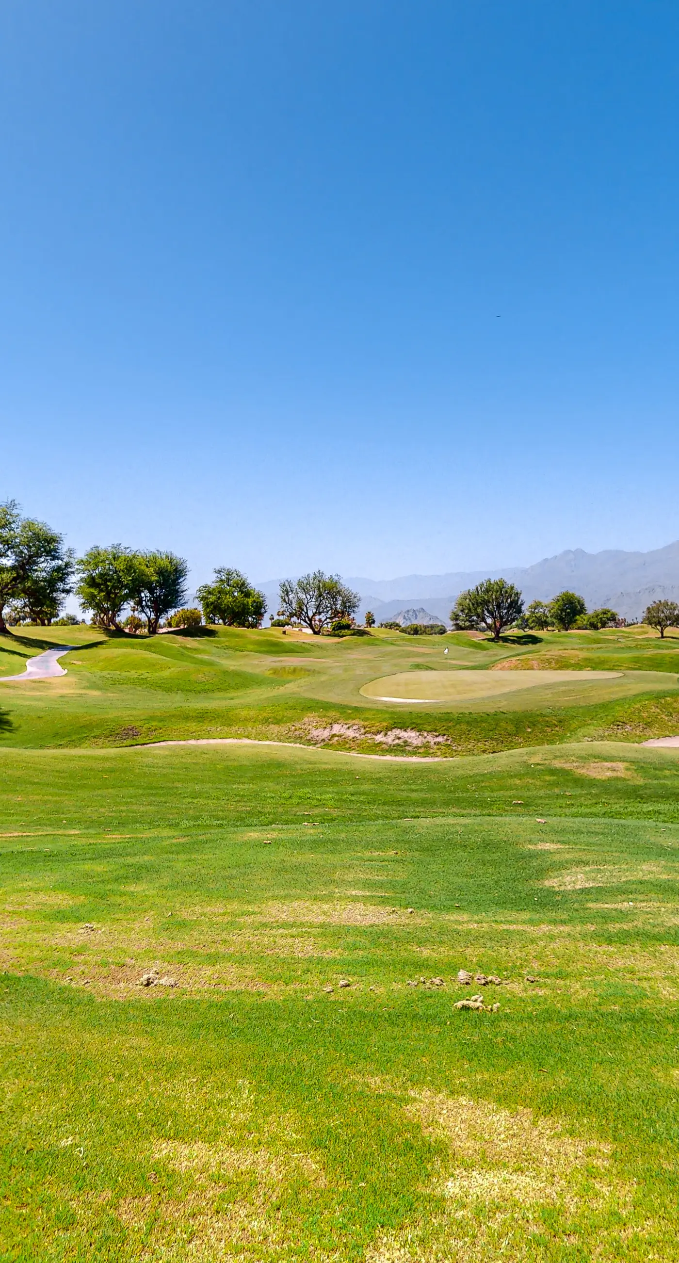 The 12th Green Haven
