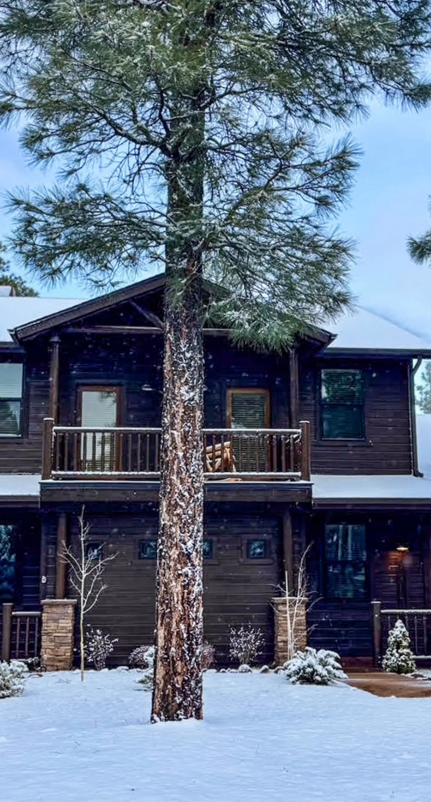 The Mountain View Escape