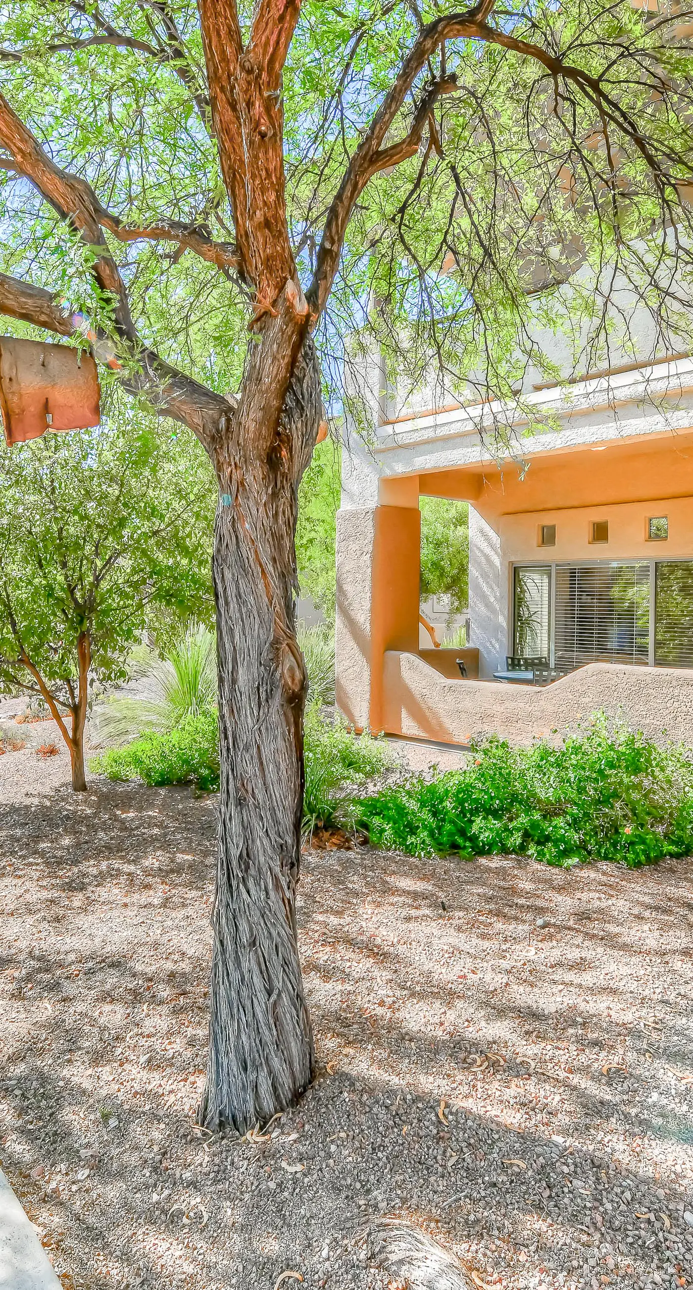 Vistoso Resort Casita #163