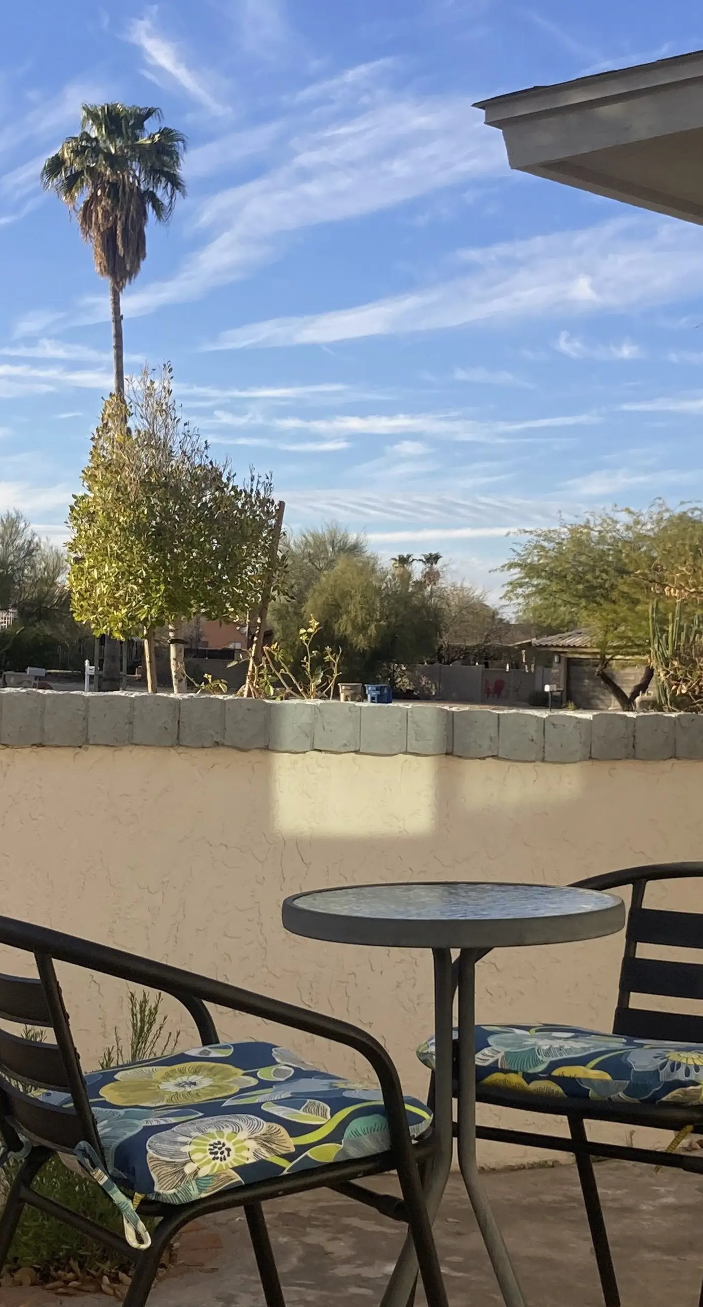 A Desert Gem