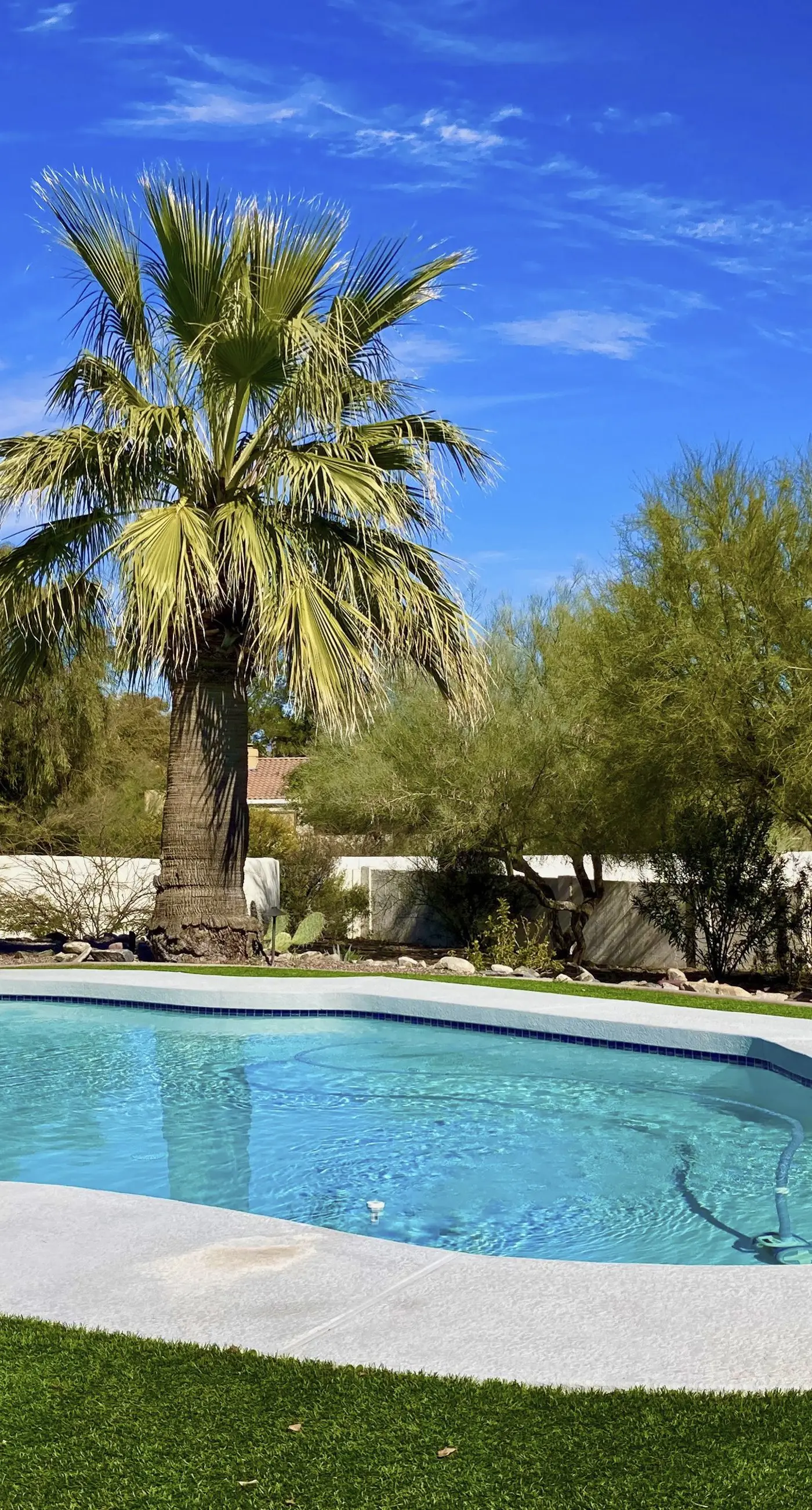 A Desert Gem