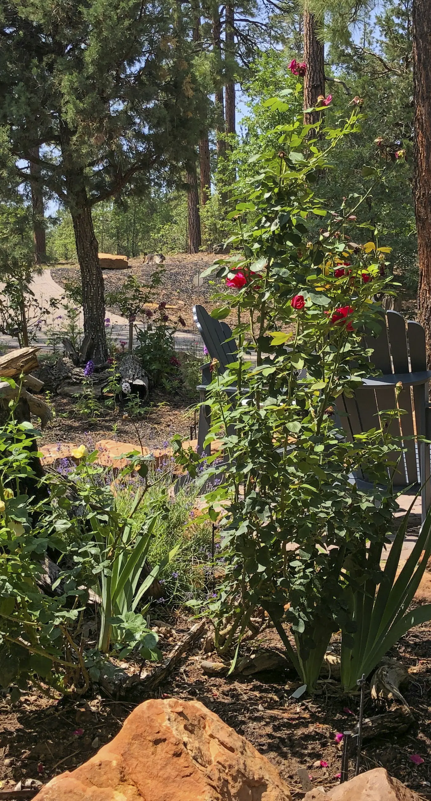 Tranquil Torreon Pines and Fairway Hideaway