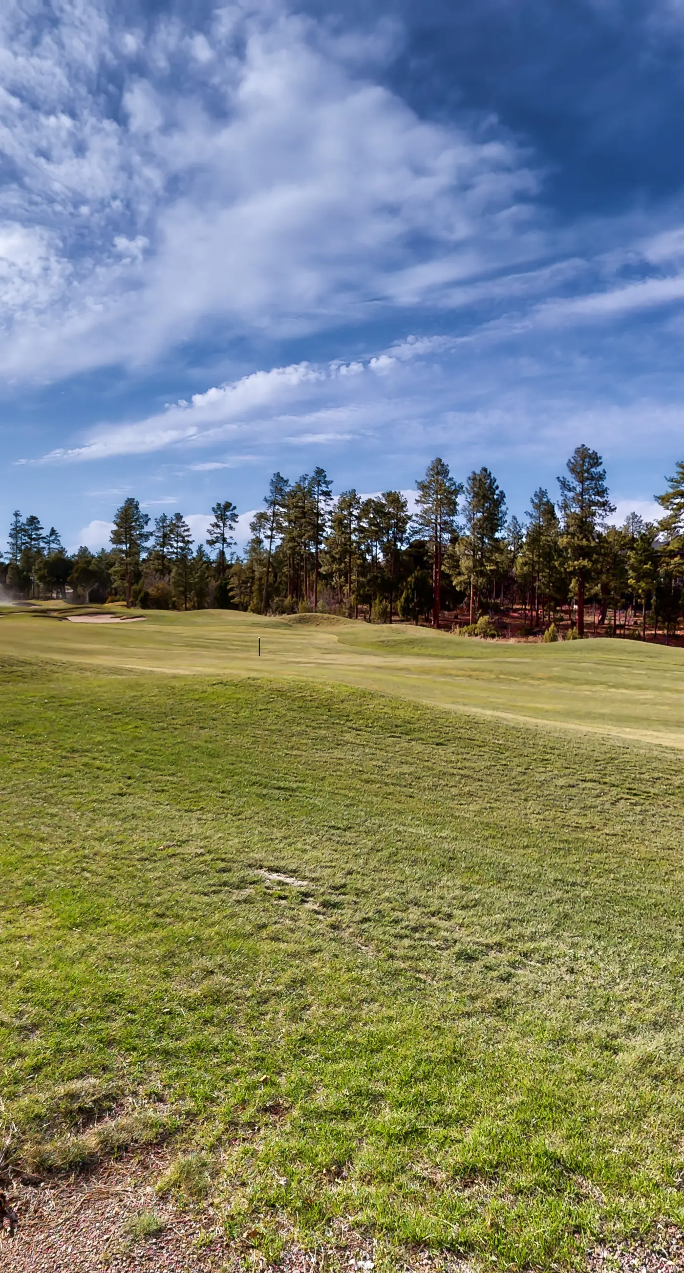 Tranquil Torreon Pines and Fairway Hideaway