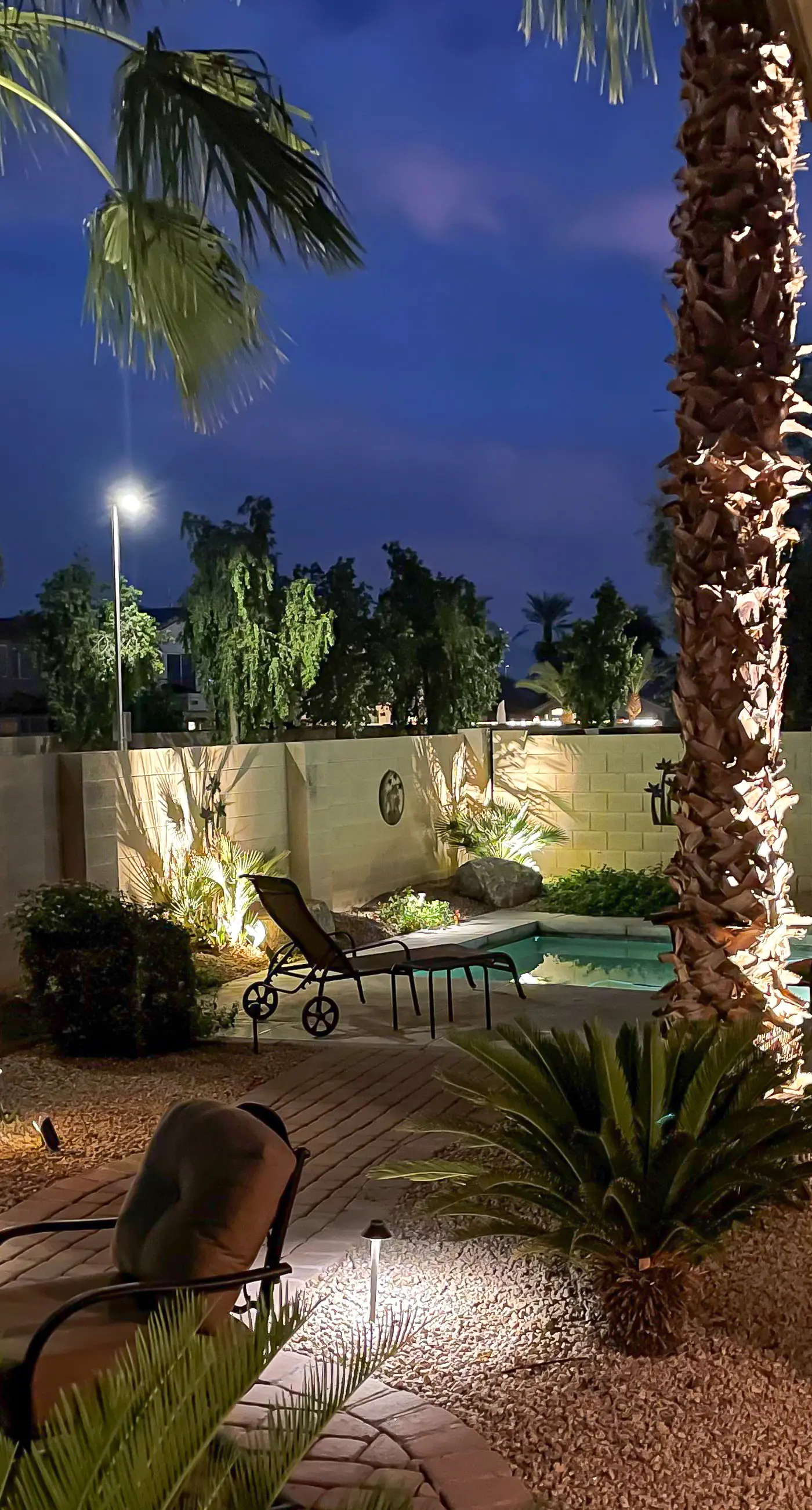 Palm Valley Oasis