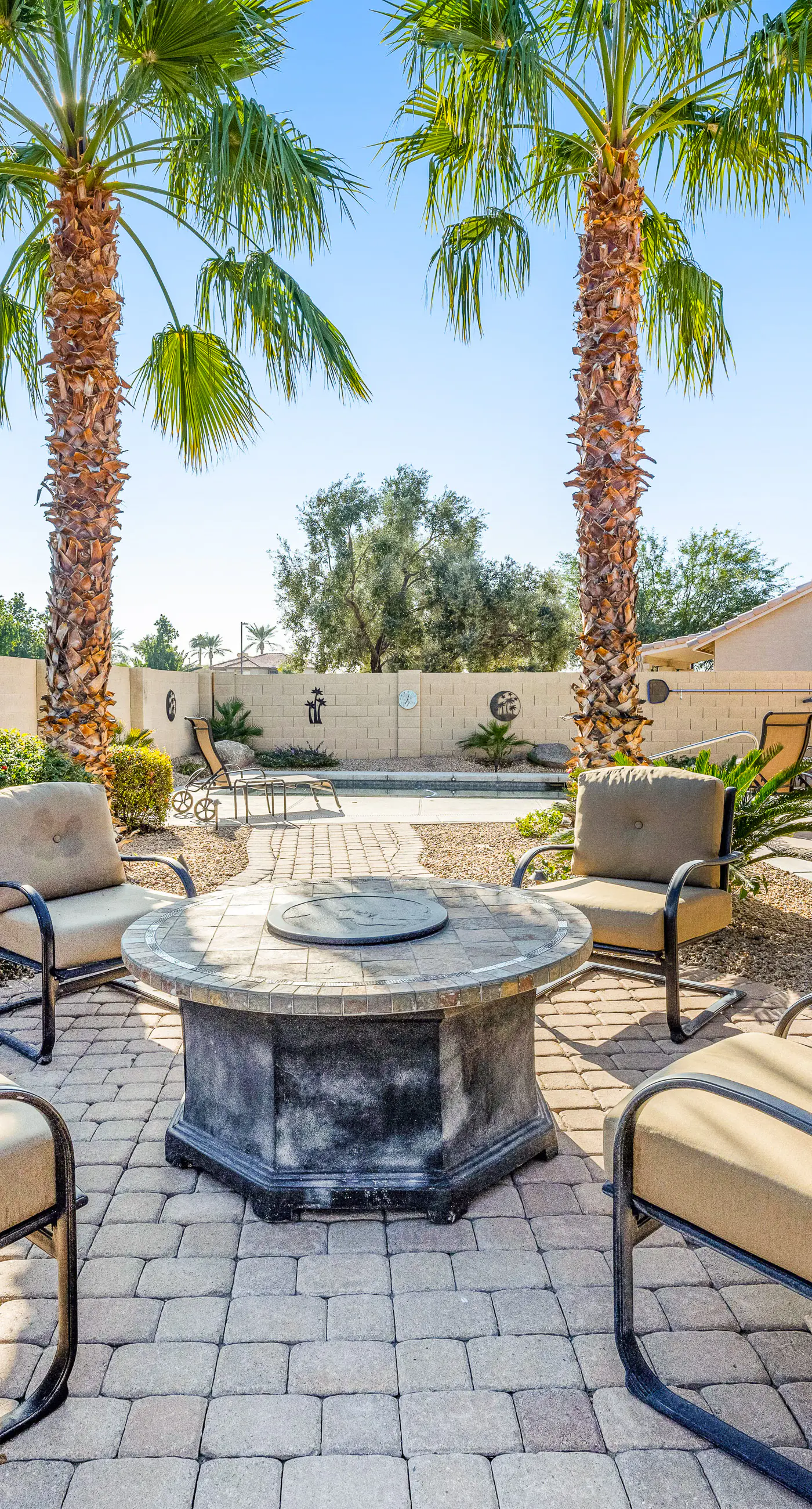 Palm Valley Oasis
