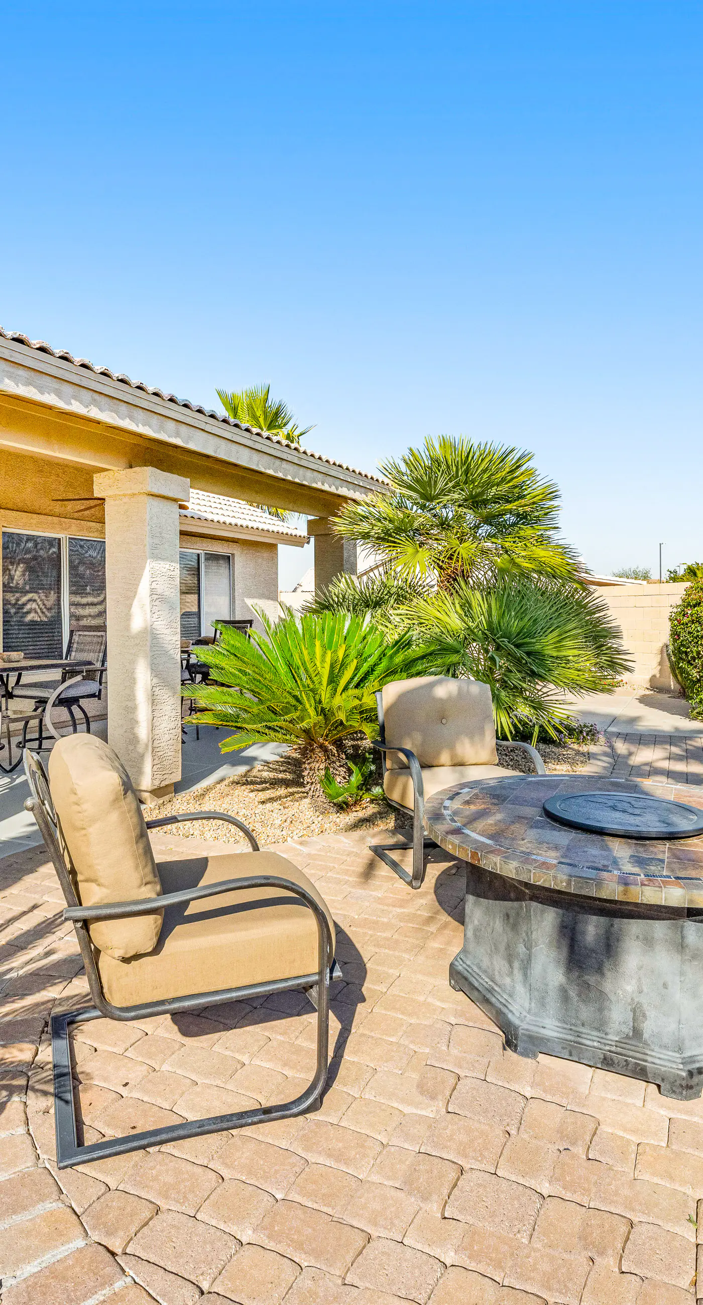Palm Valley Oasis