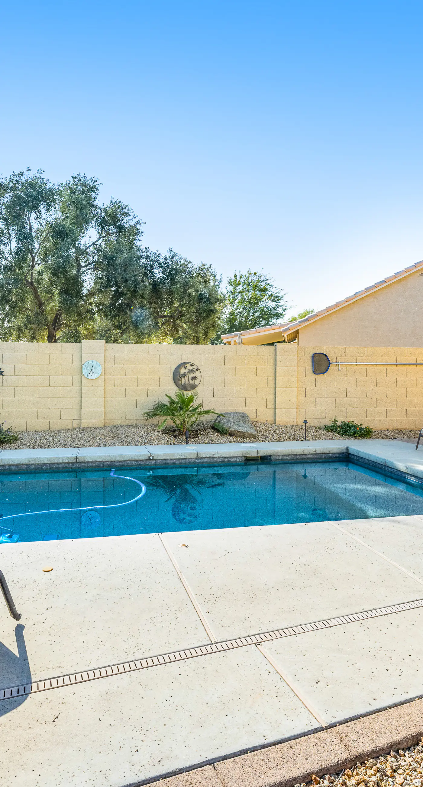 Palm Valley Oasis
