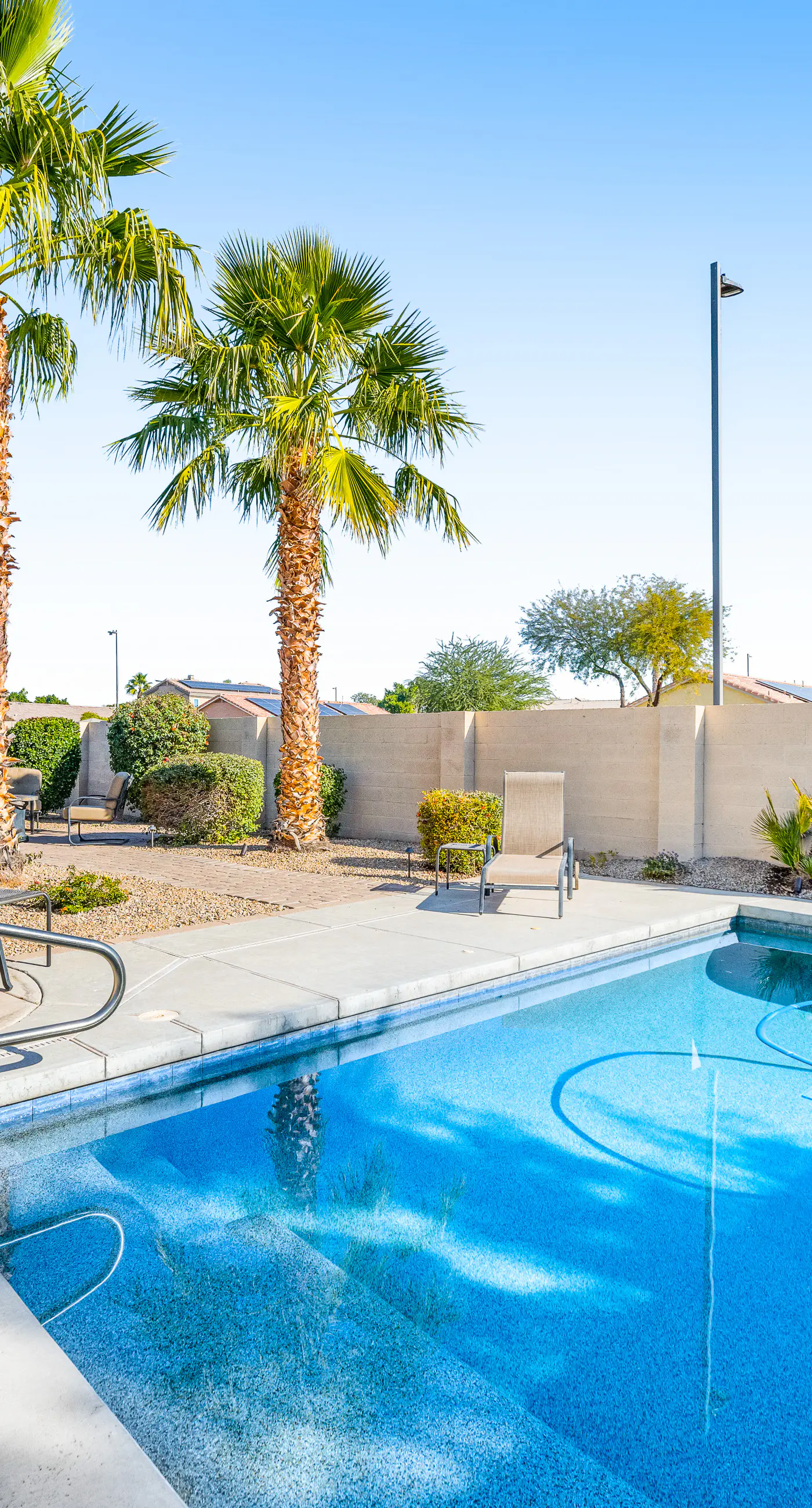 Palm Valley Oasis