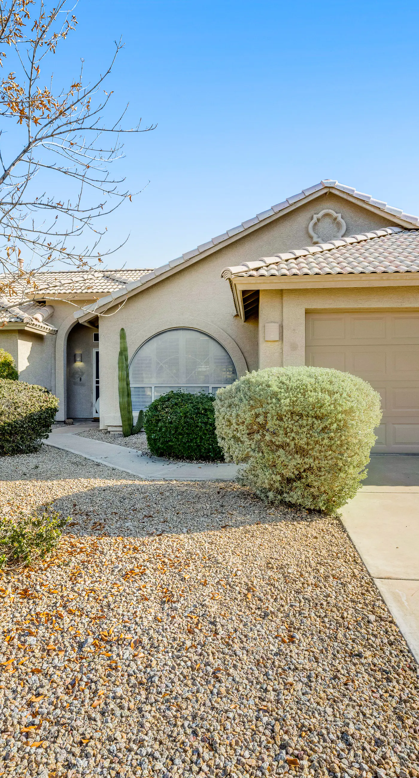 Palm Valley Oasis