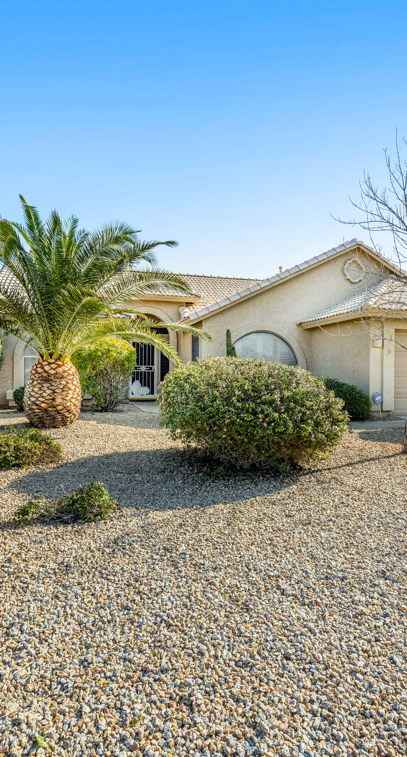 Palm Valley Oasis