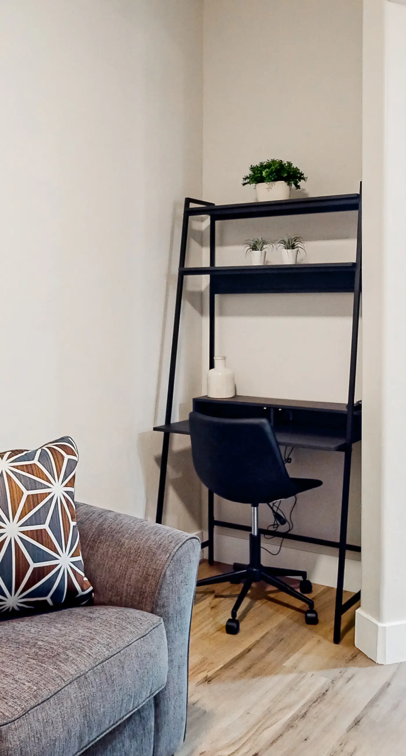 Placita Escondida #101