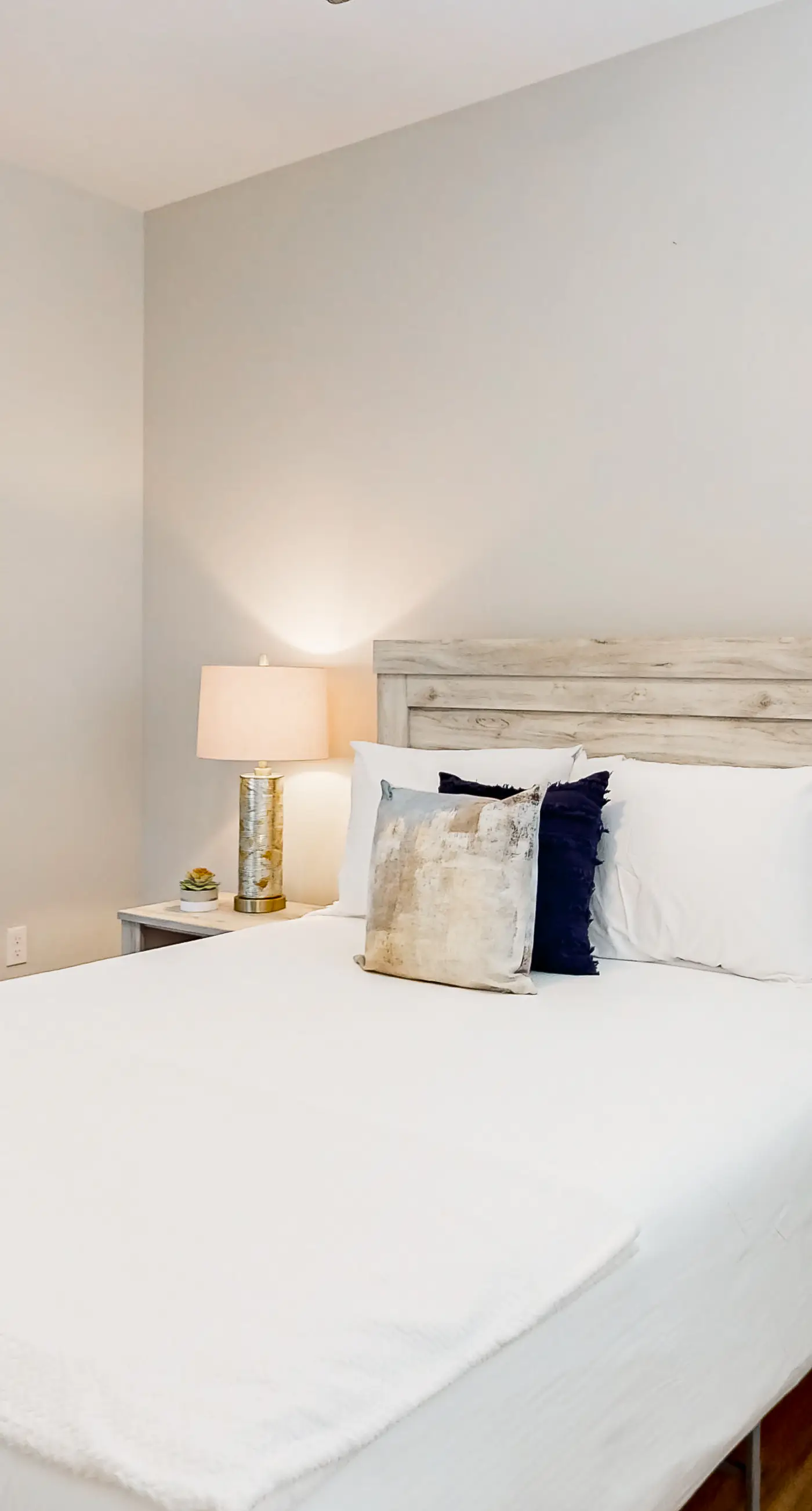 Placita Escondida #101