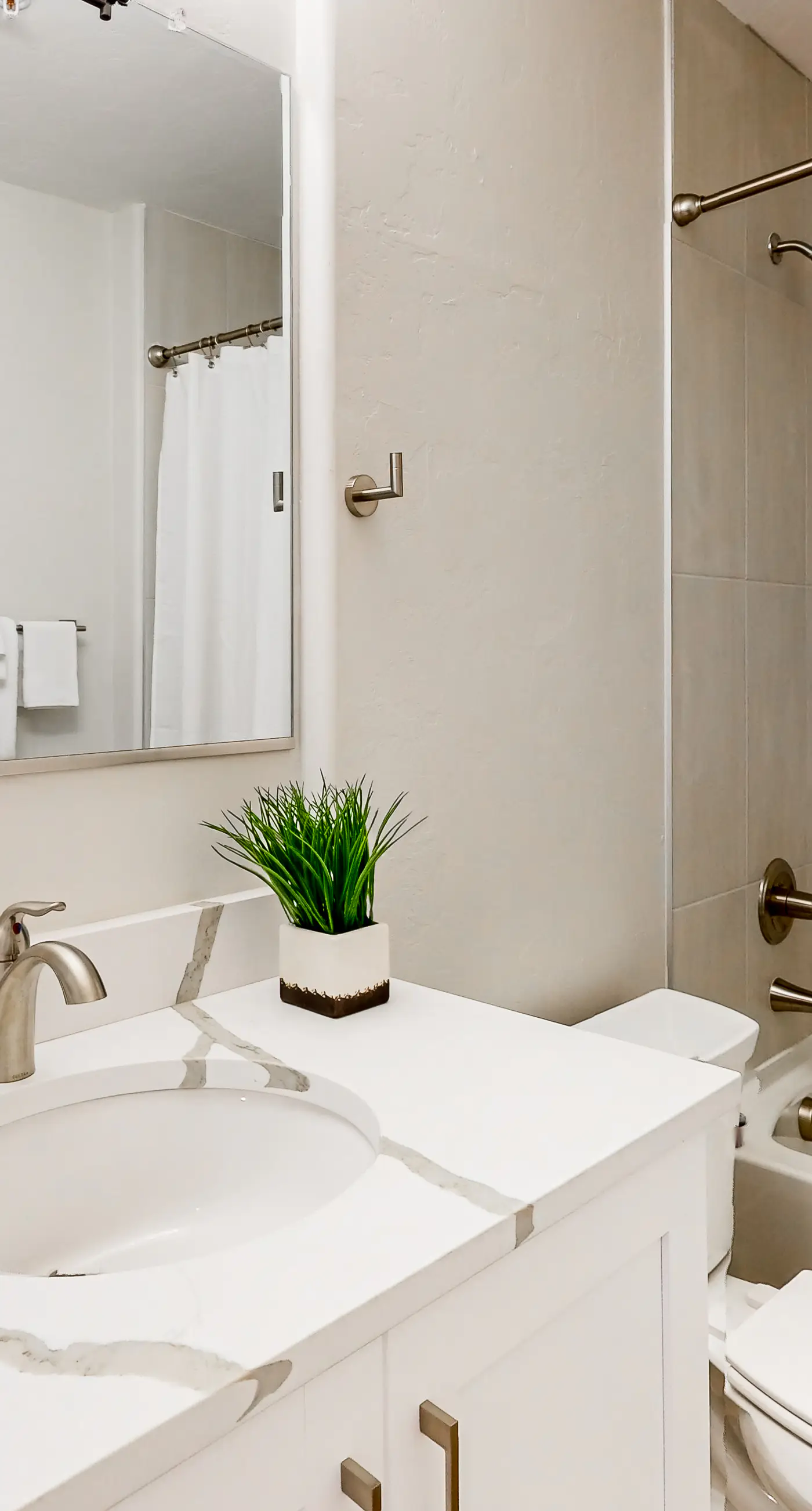 Placita Escondida #101