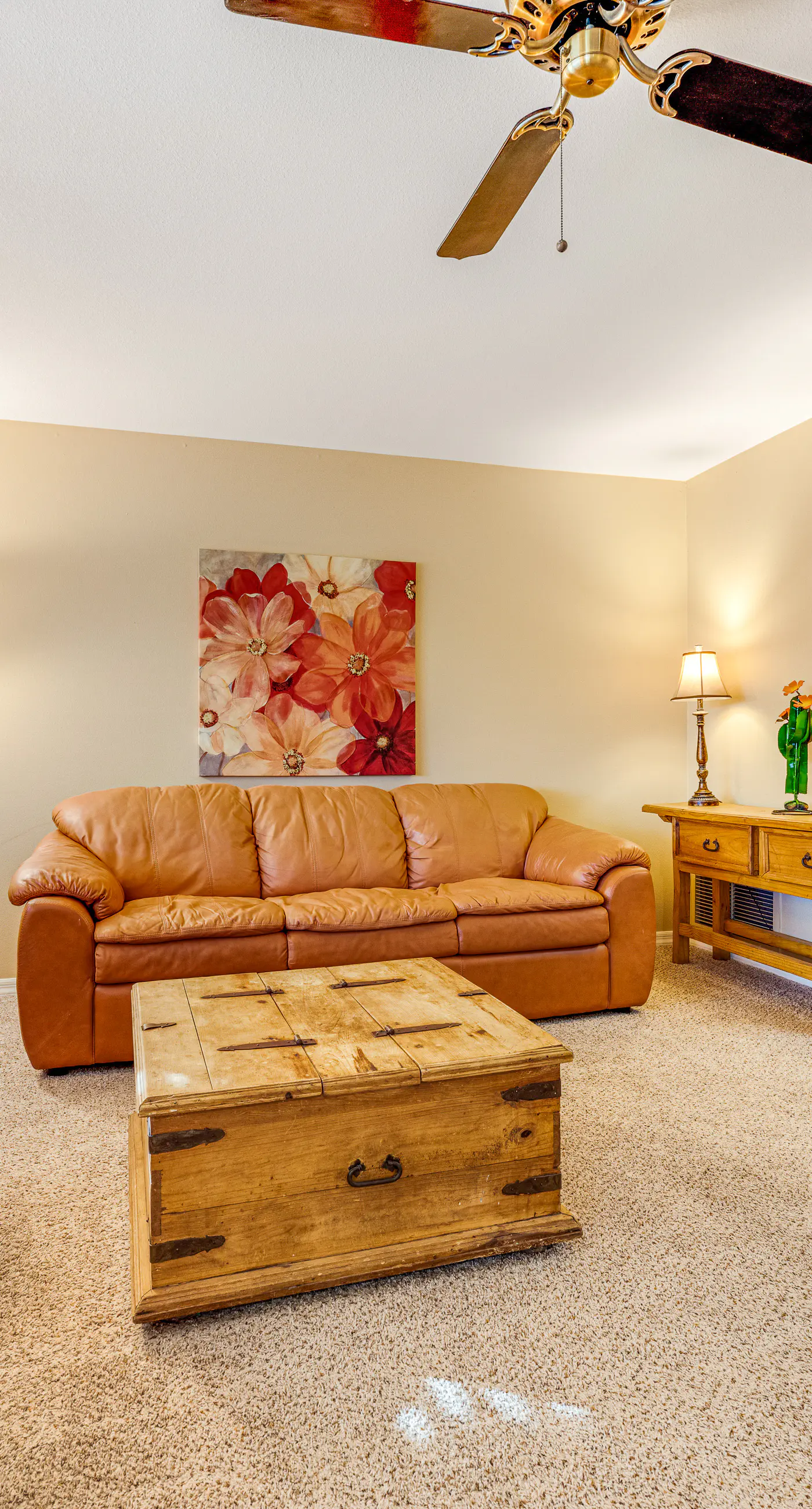 My Little Piece of the Desert