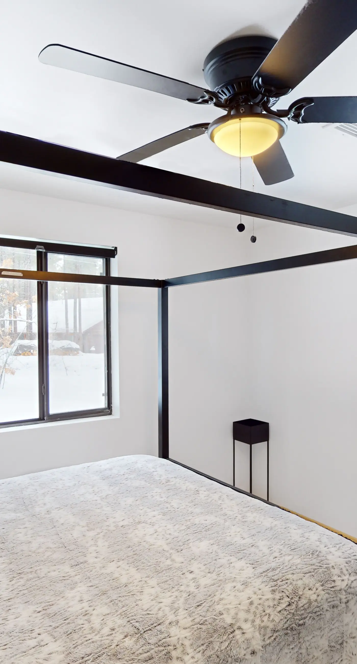 Modern Pine Sanctuary