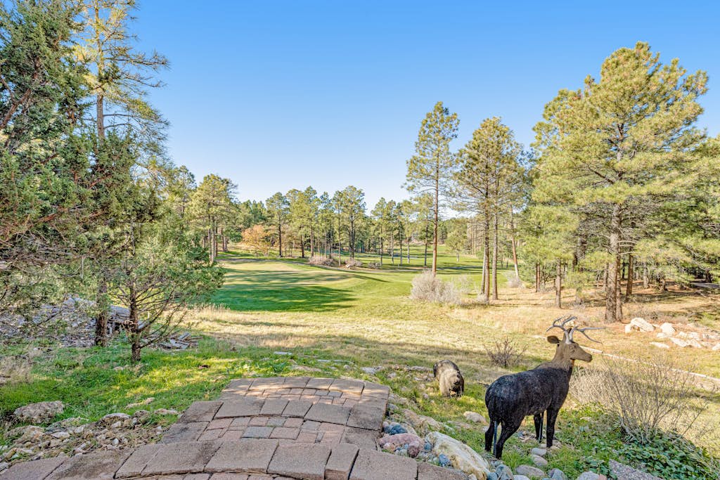 Stunning home with golf views, large deck, fireplace, W/D & central AC