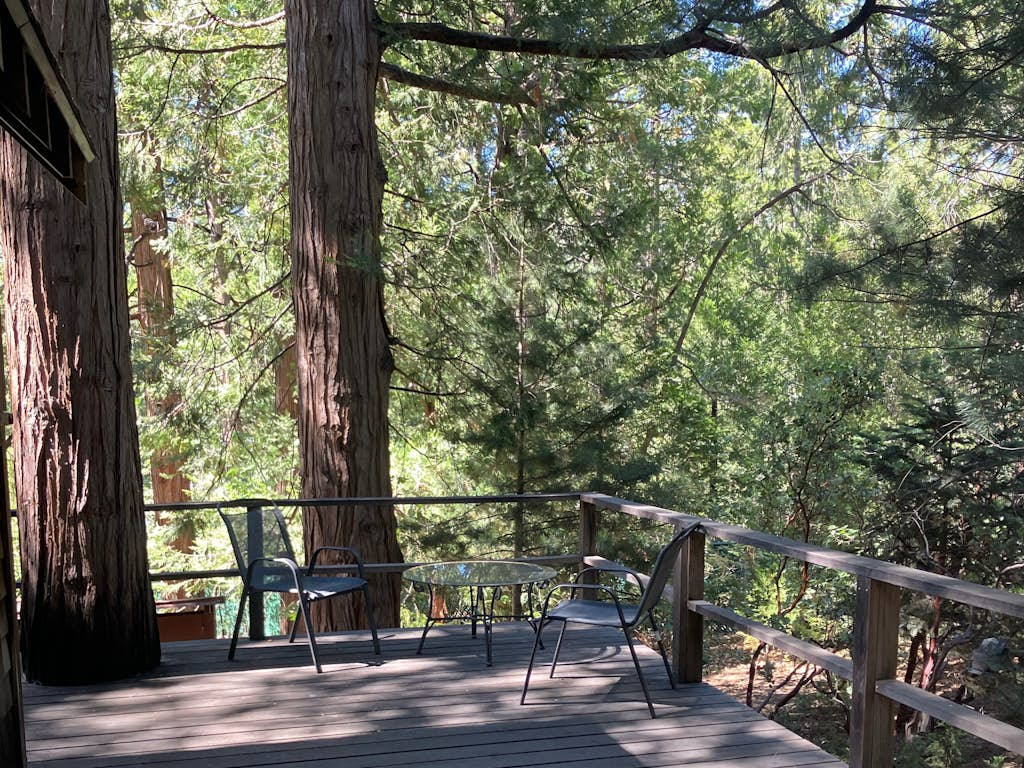 Cozy dog friendly cabin w/large deck, original rock fireplace & loft bedroom