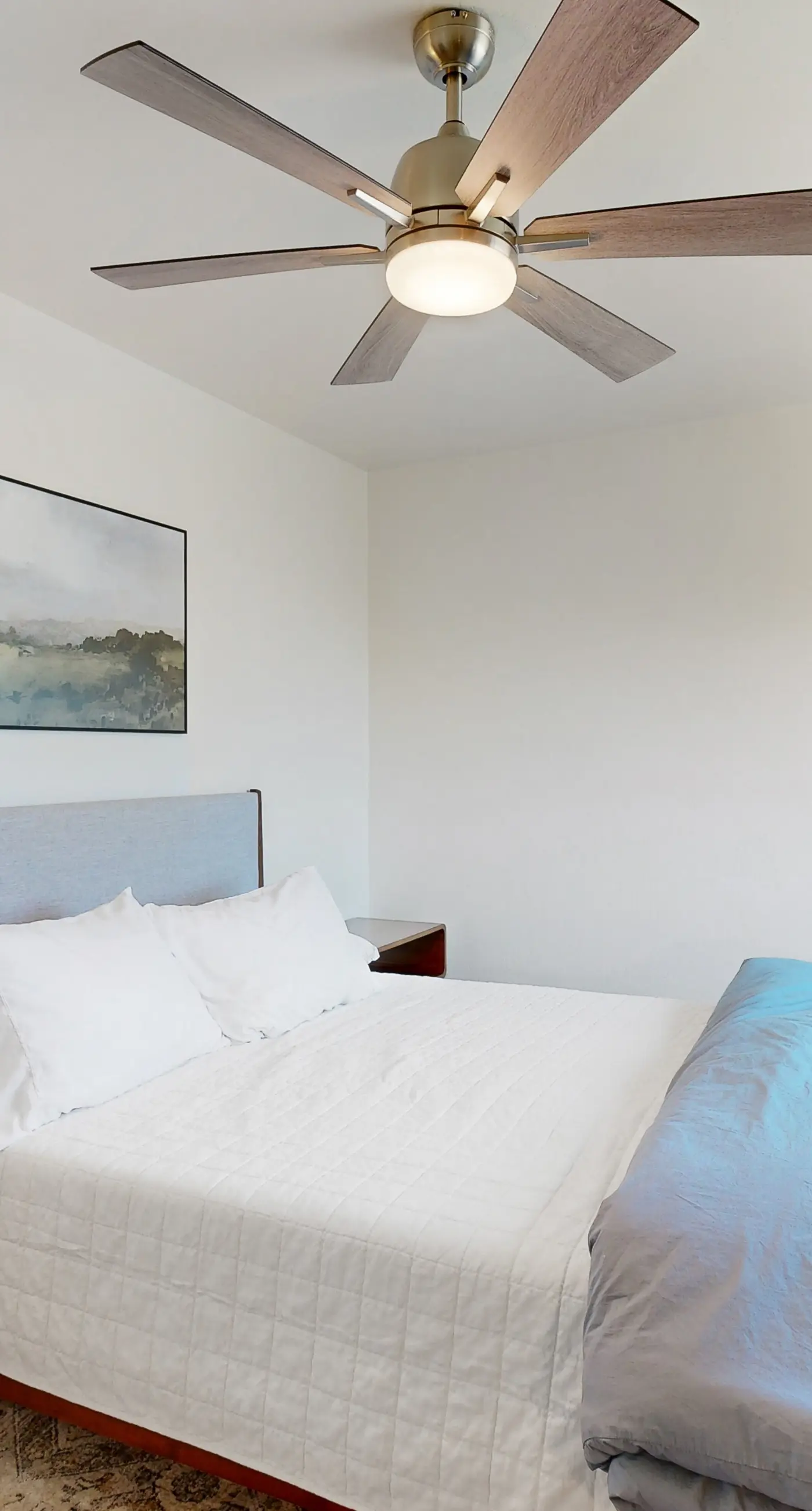 Scottsdale's Sanctuary