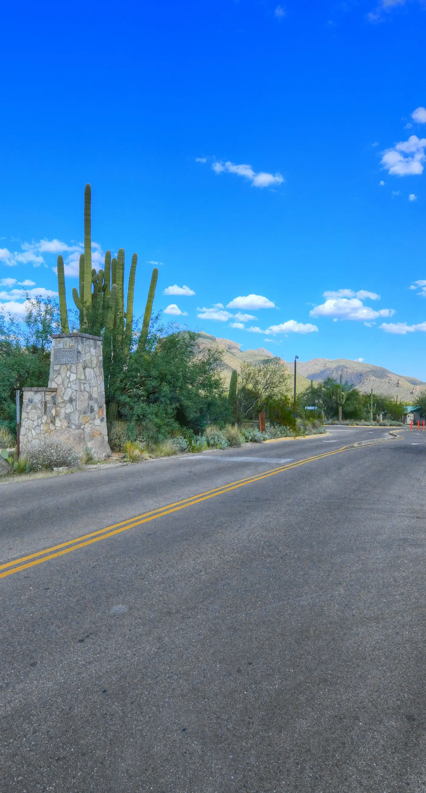 Ventana Canyon Retreat