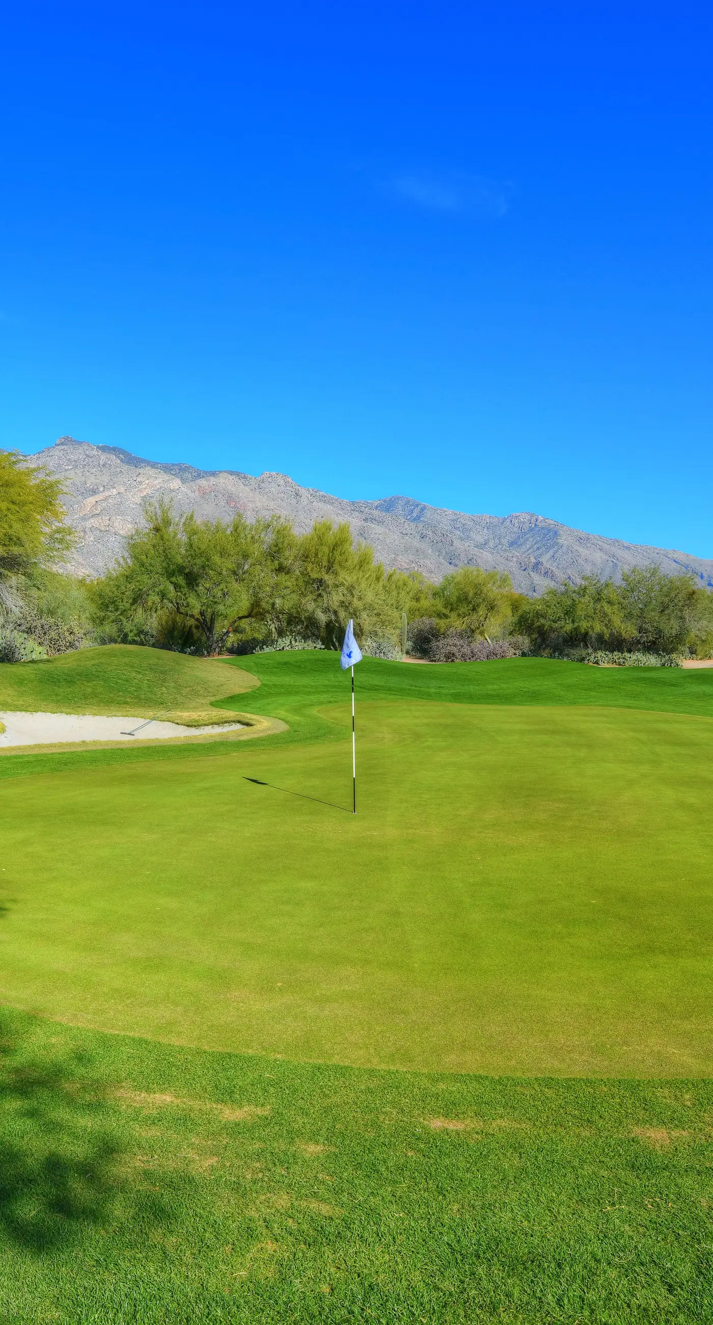 Ventana Canyon Retreat