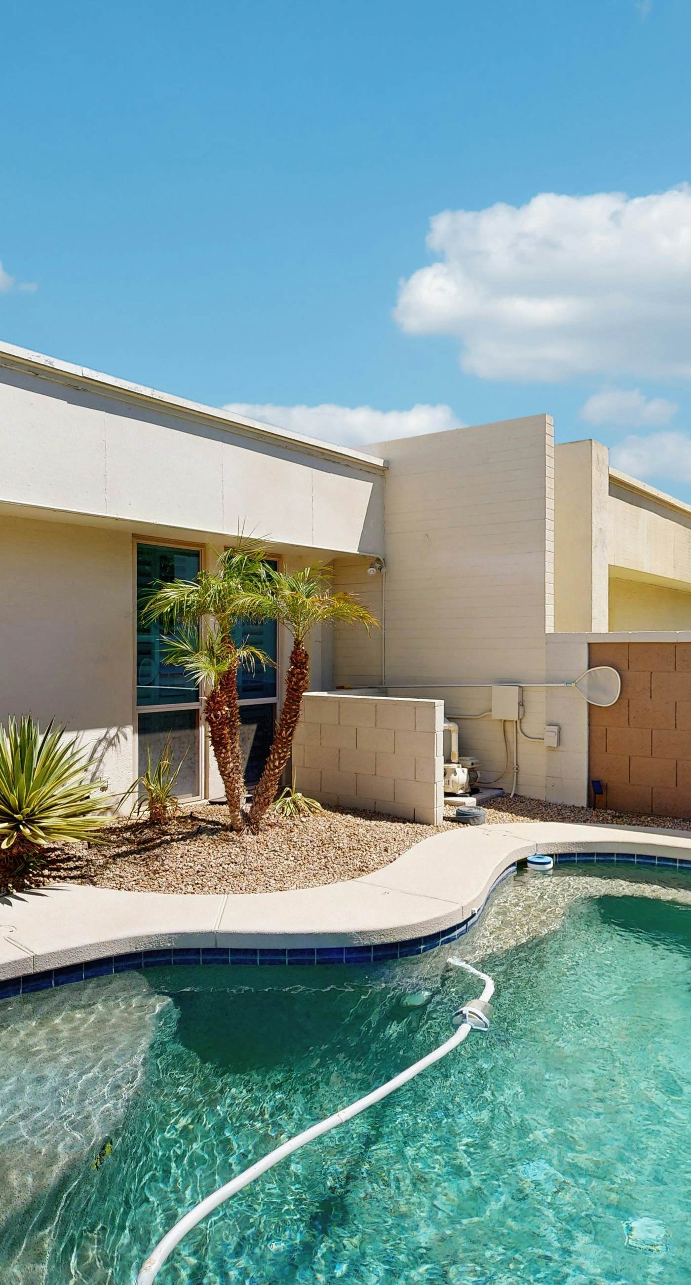 Sonoran Oasis