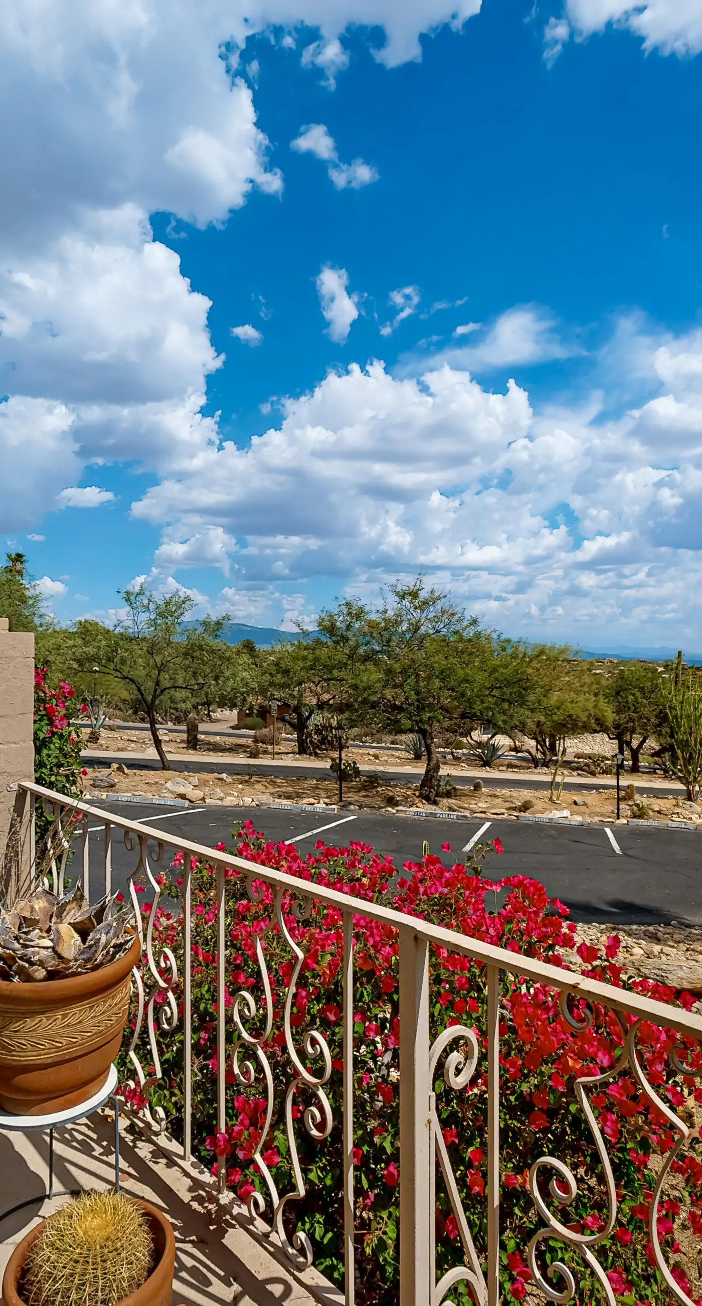 Manzanita Casita