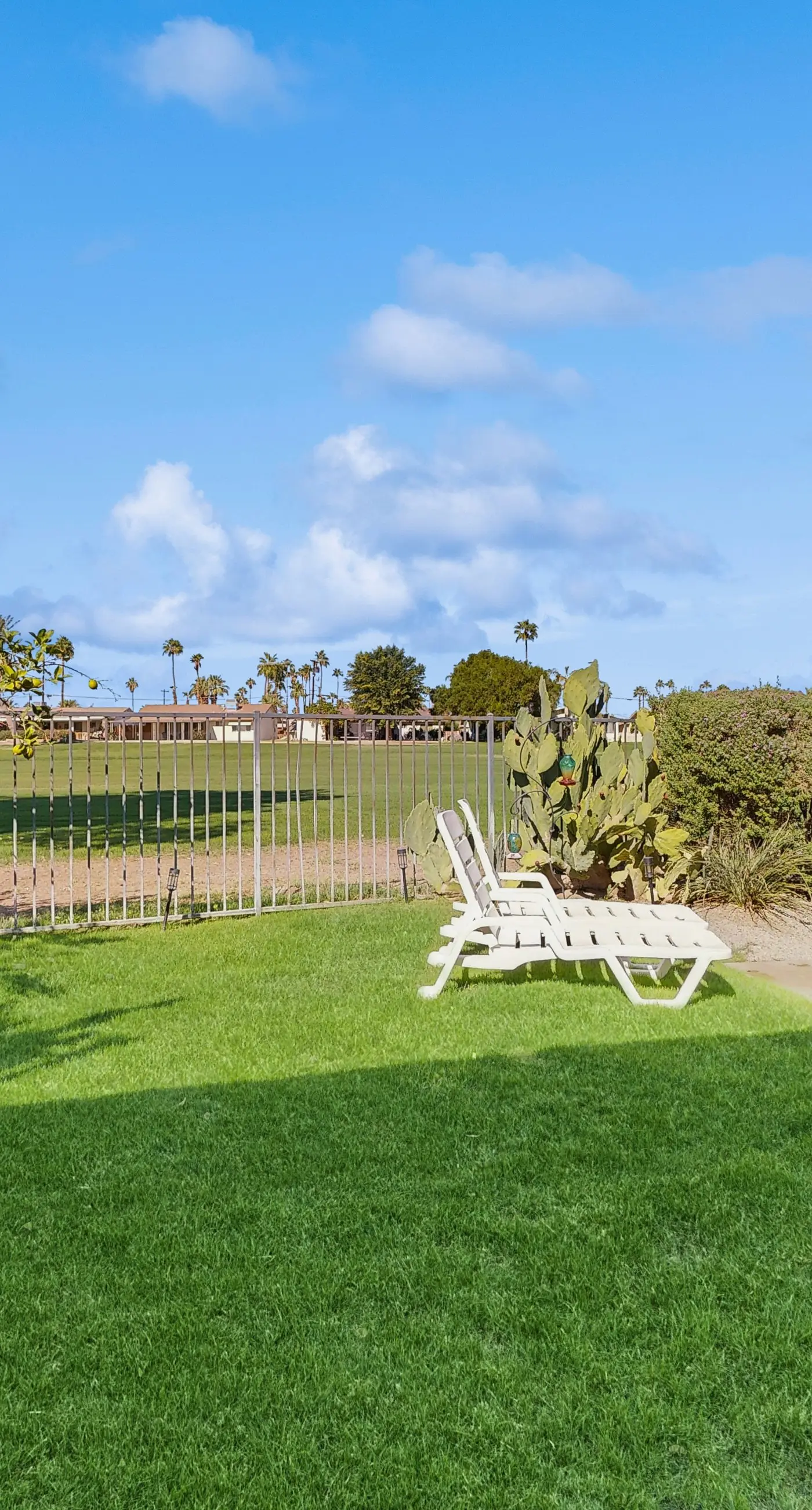 The Sunscape Retreat