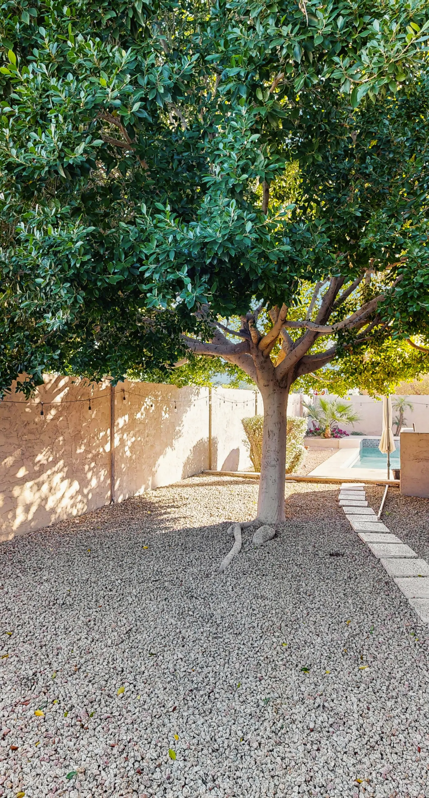 Sunlit Mesa Getaway