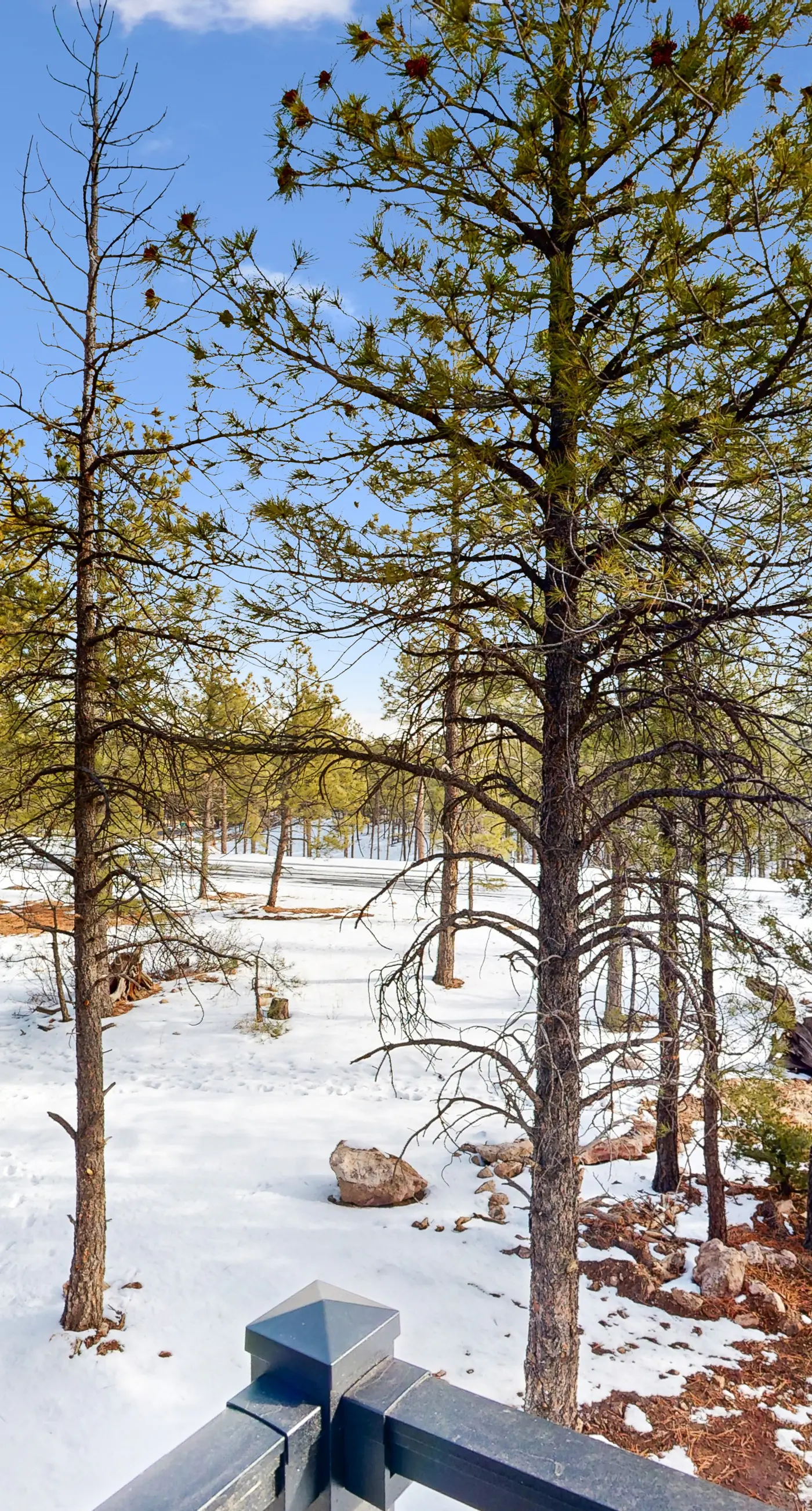 Ponderosa Peaks Retreat