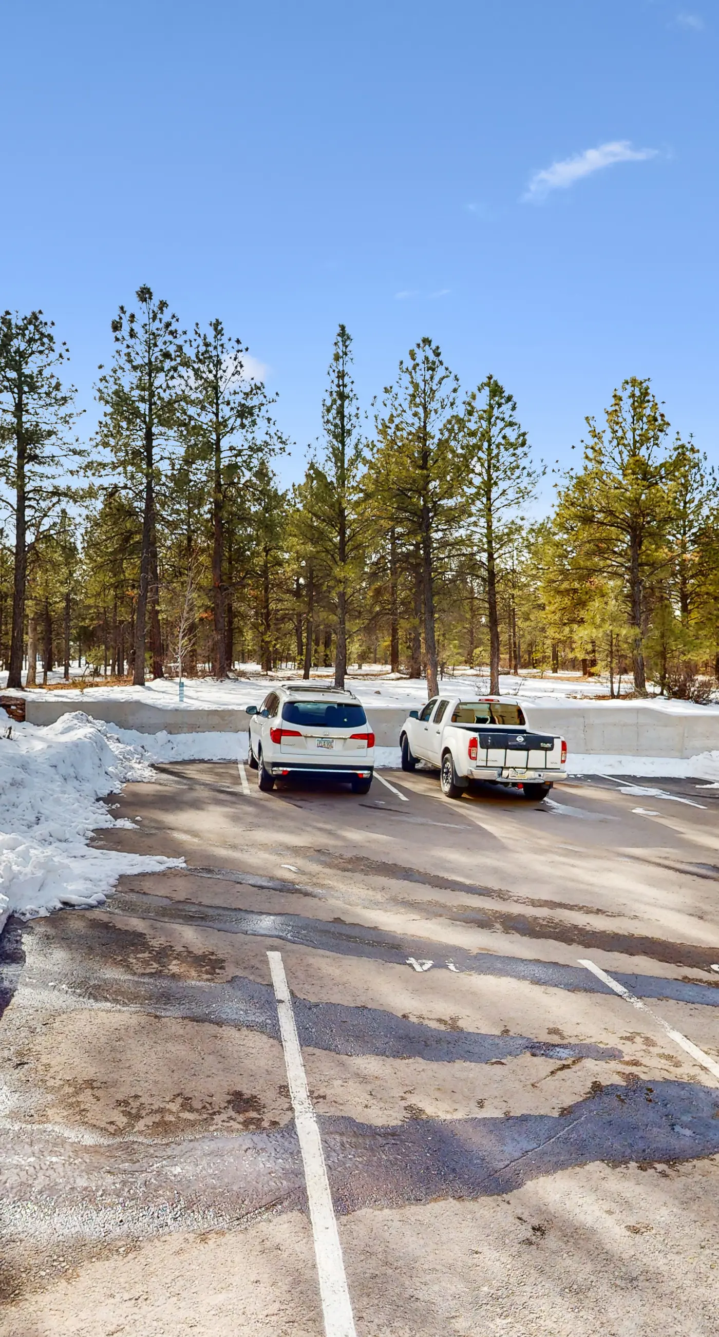 Ponderosa Peaks Retreat