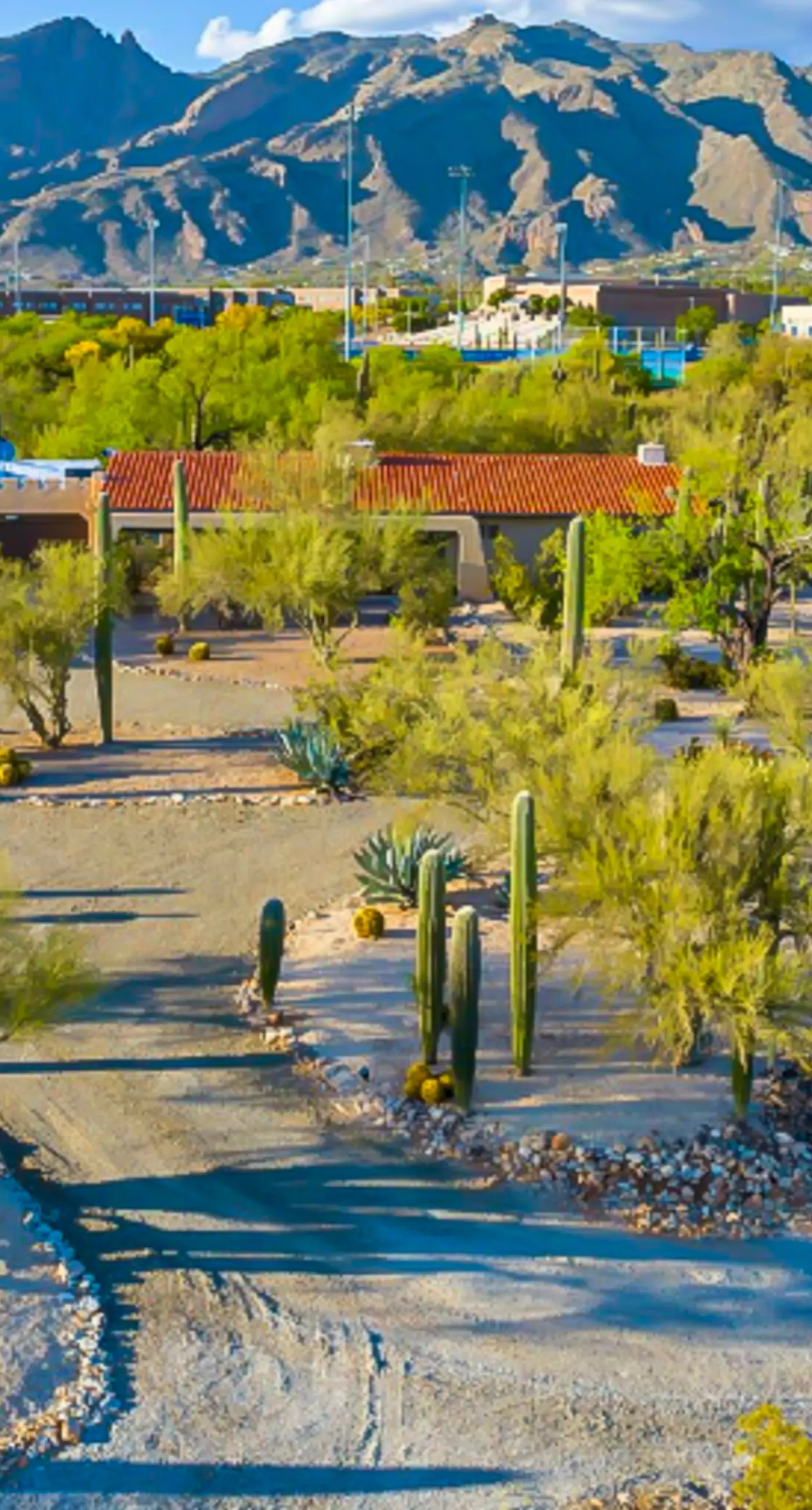 Desert Serenity at Walker Ranch