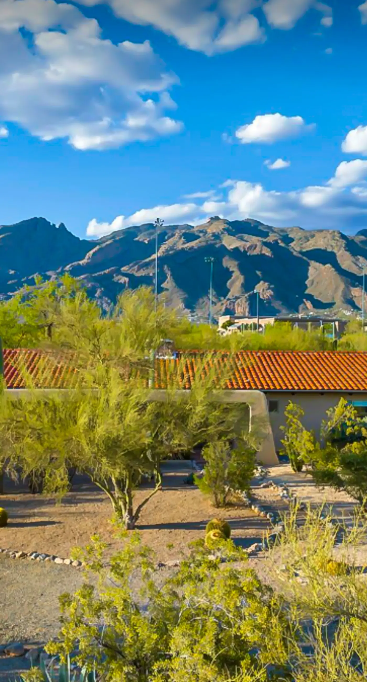 Desert Serenity at Walker Ranch