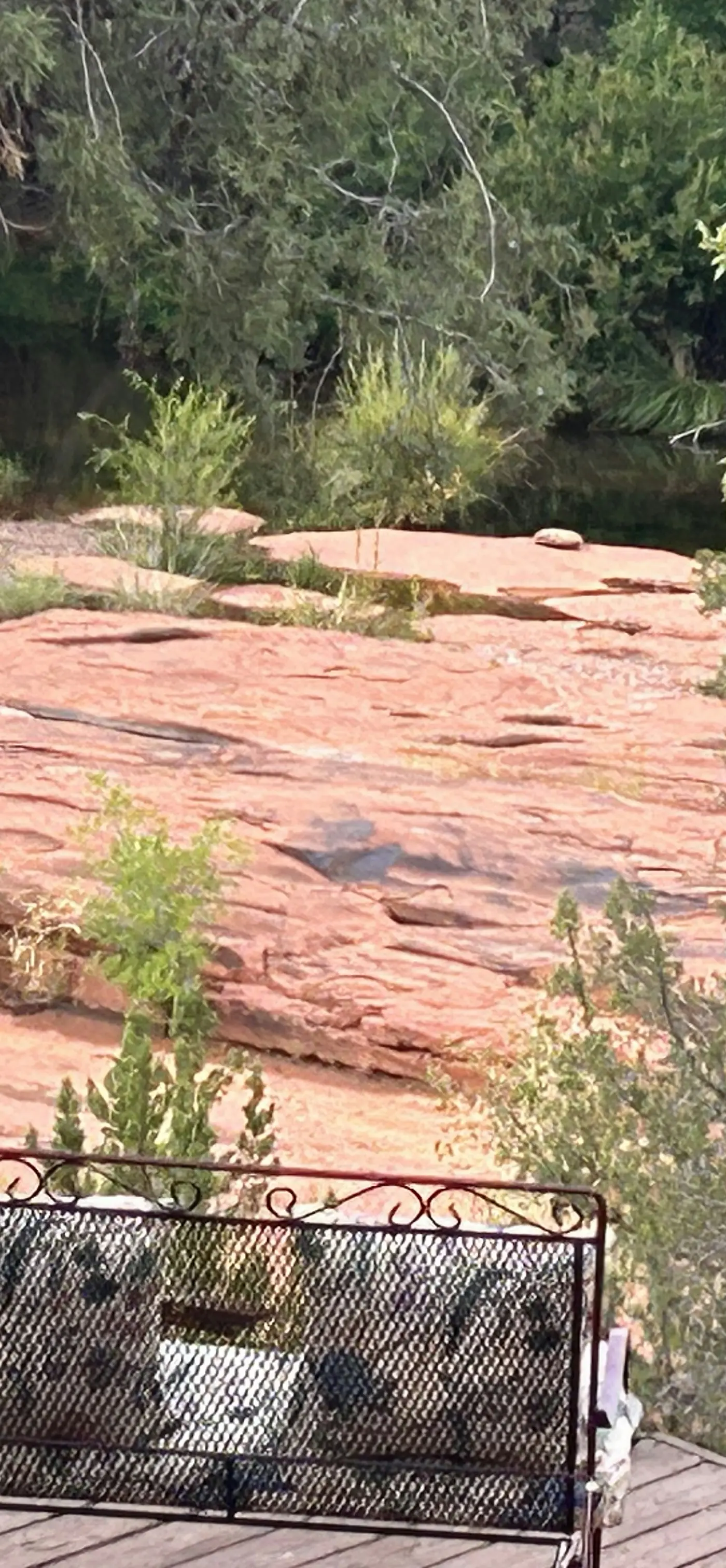 Creekside Casa & Casita