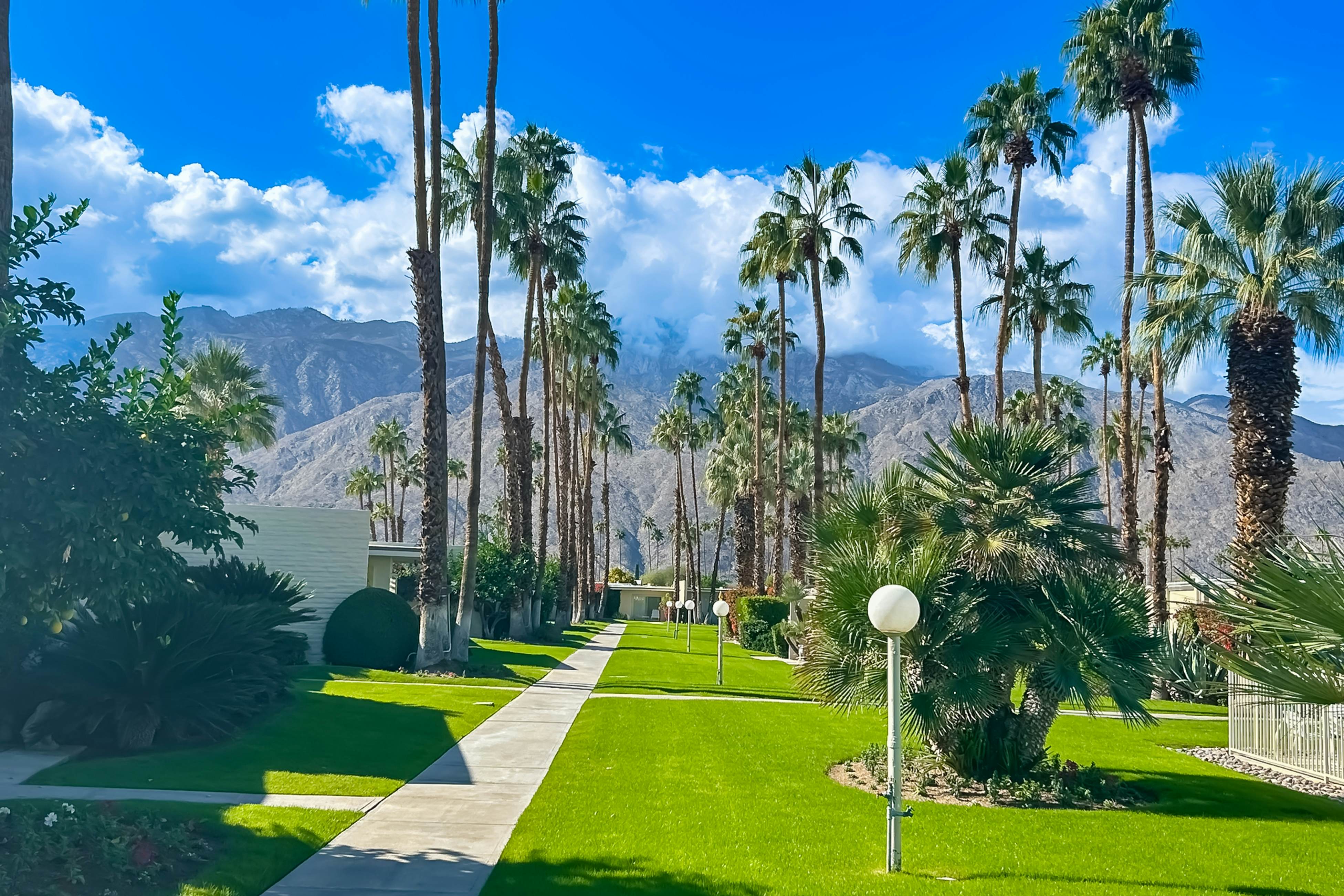 Desert Chill Condo - 28758