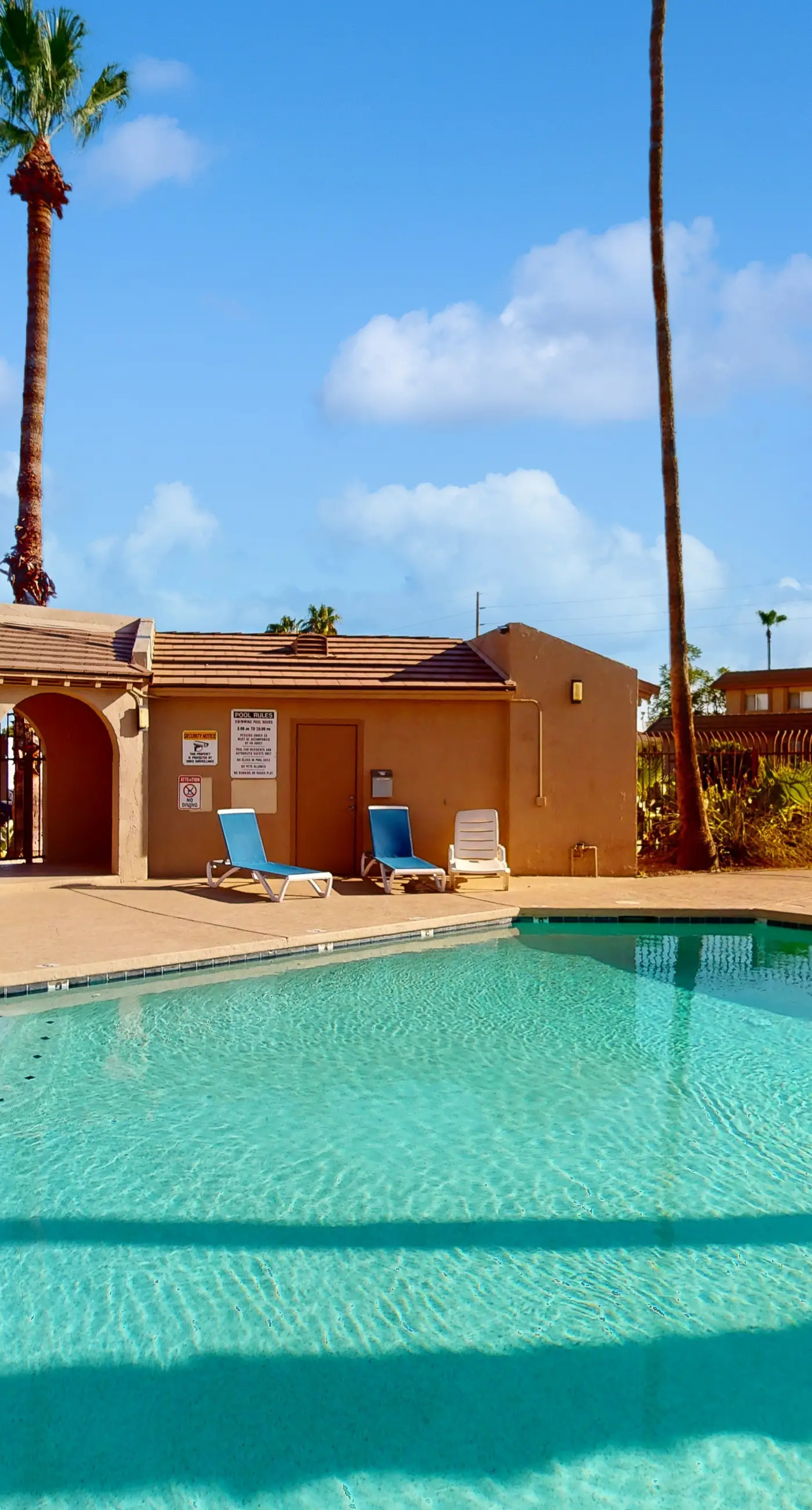 Fun in the Fountain Hills Sun