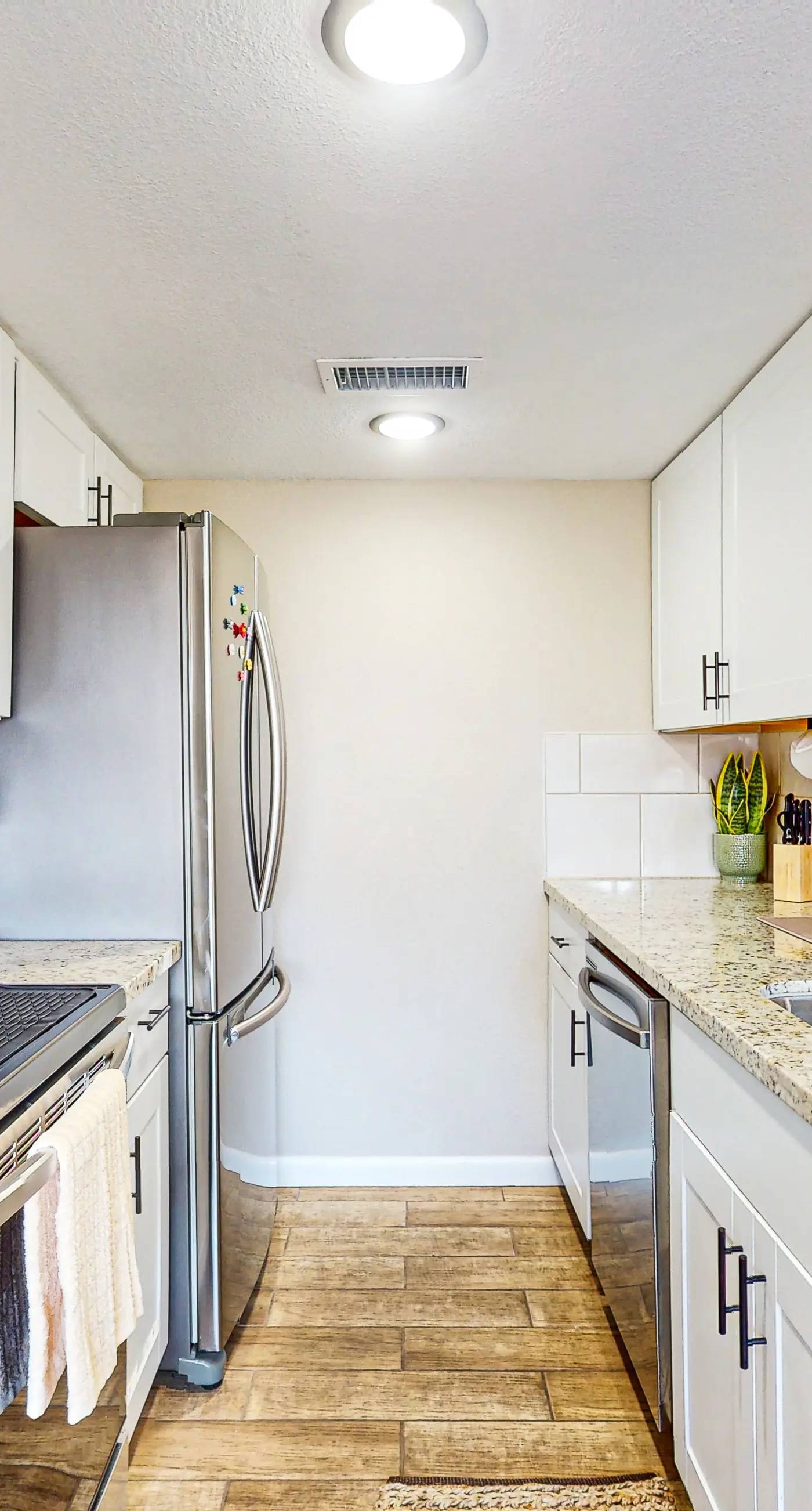 Fun in the Fountain Hills Sun