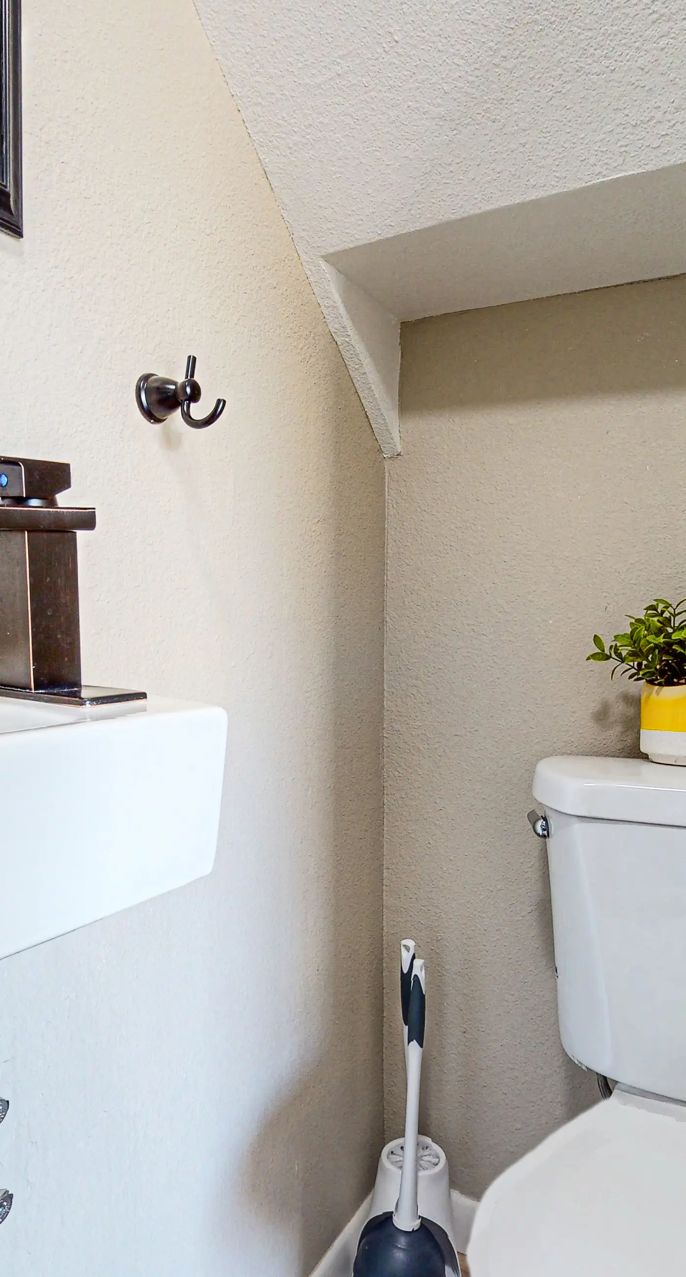 Fun in the Fountain Hills Sun