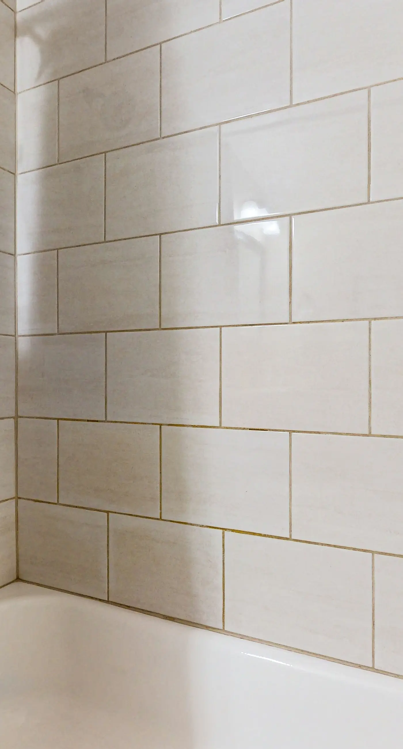 Fun in the Fountain Hills Sun