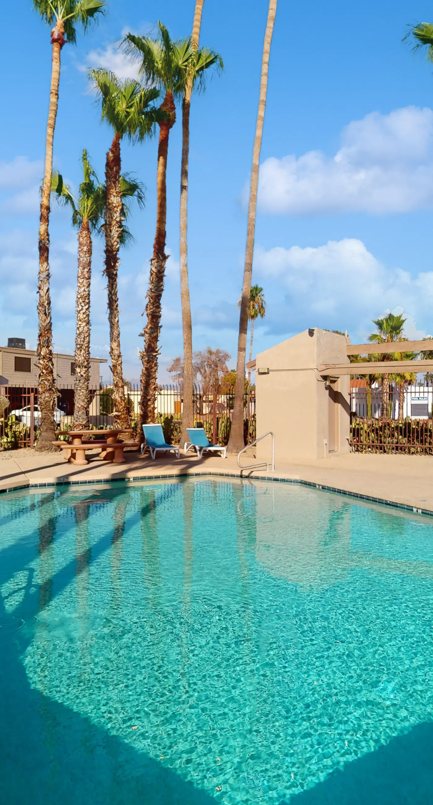 Fun in the Fountain Hills Sun