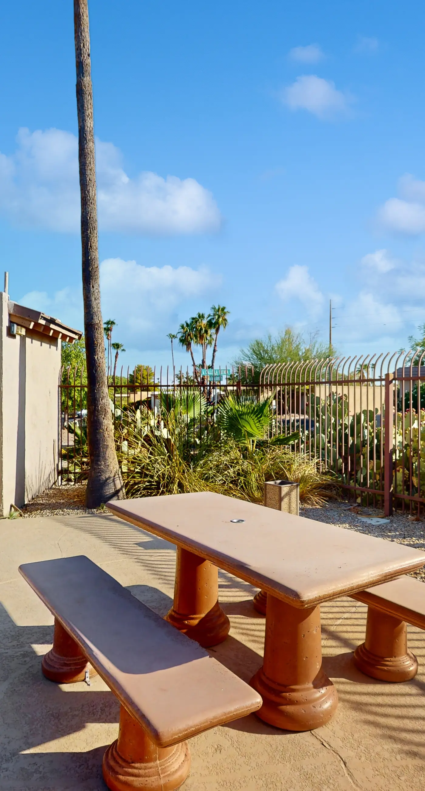 Fun in the Fountain Hills Sun