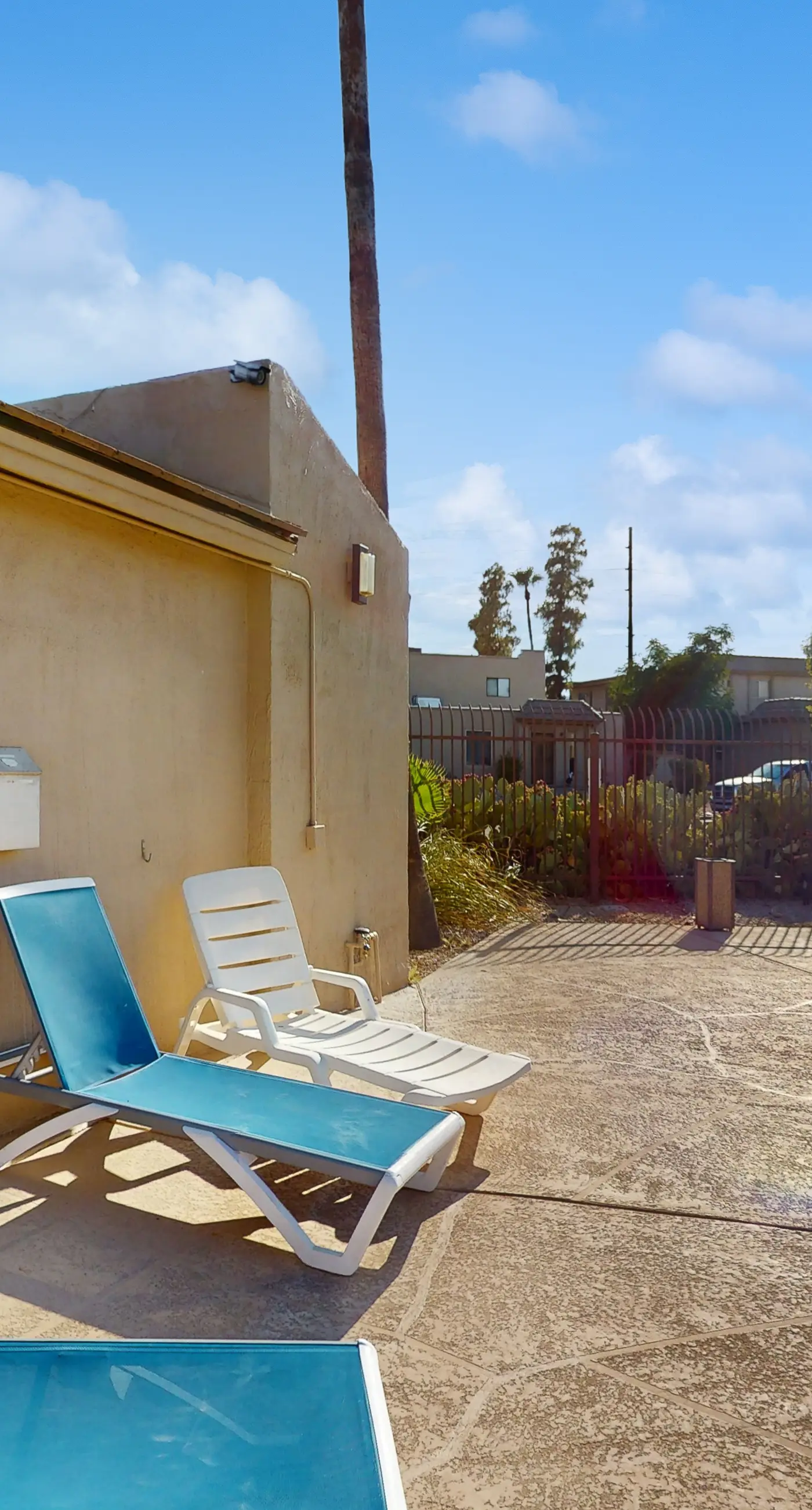 Fun in the Fountain Hills Sun