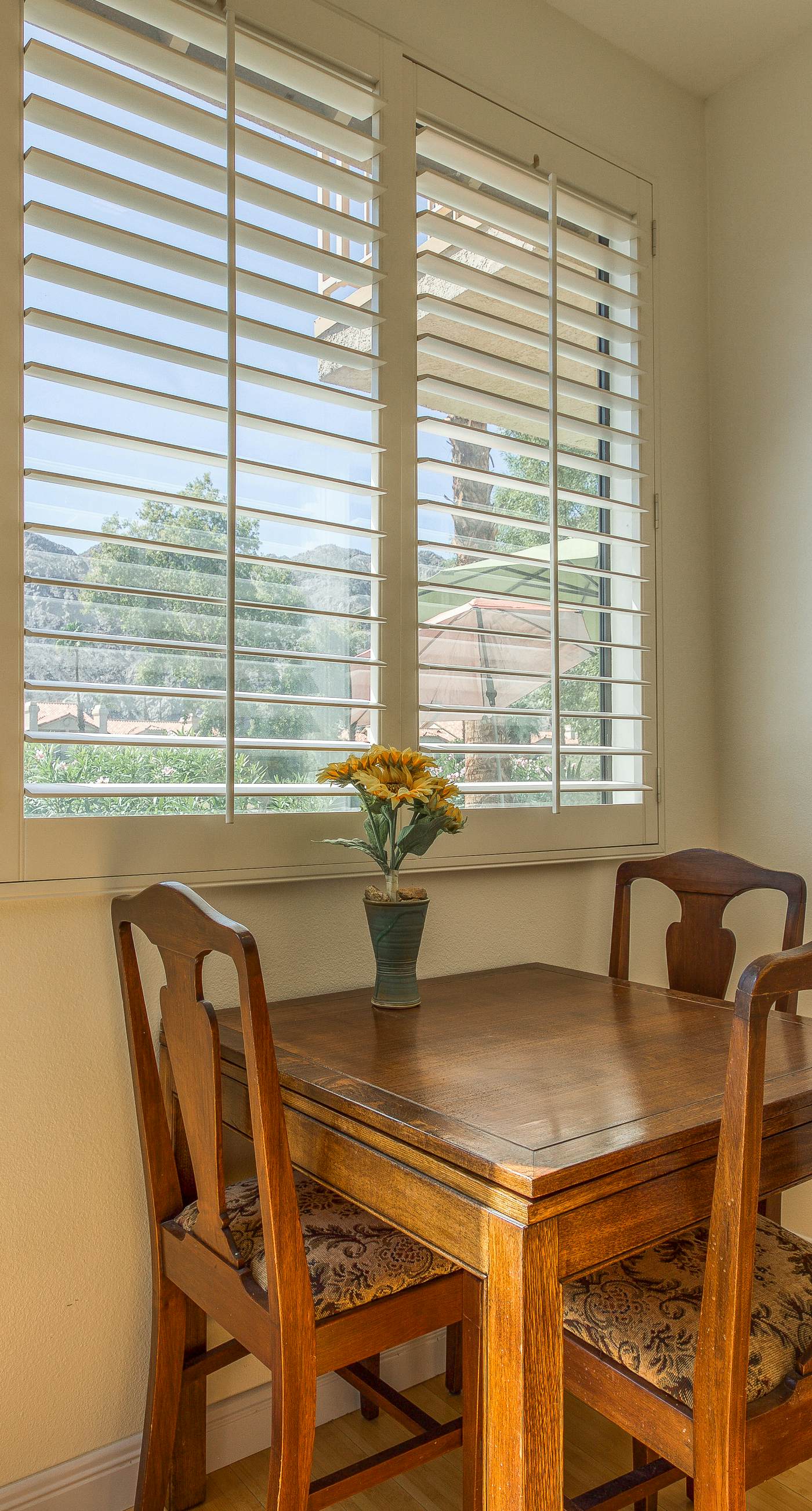 Mountain View Escape