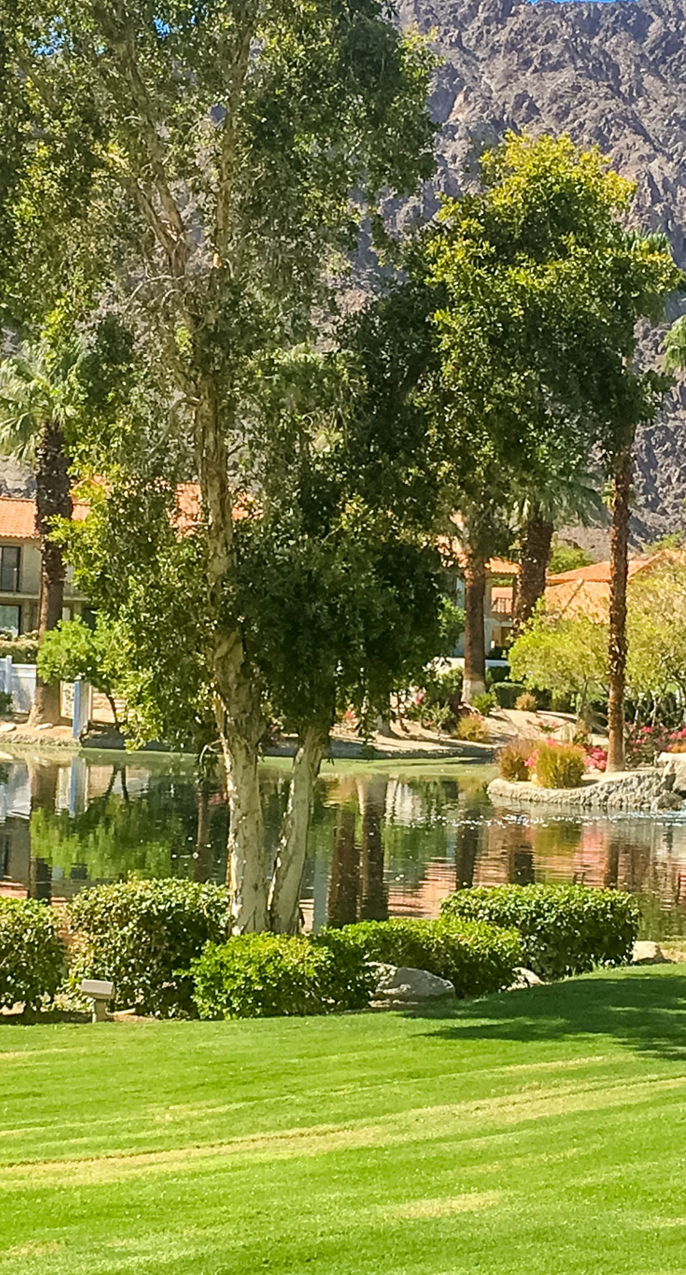 Mountain View Escape