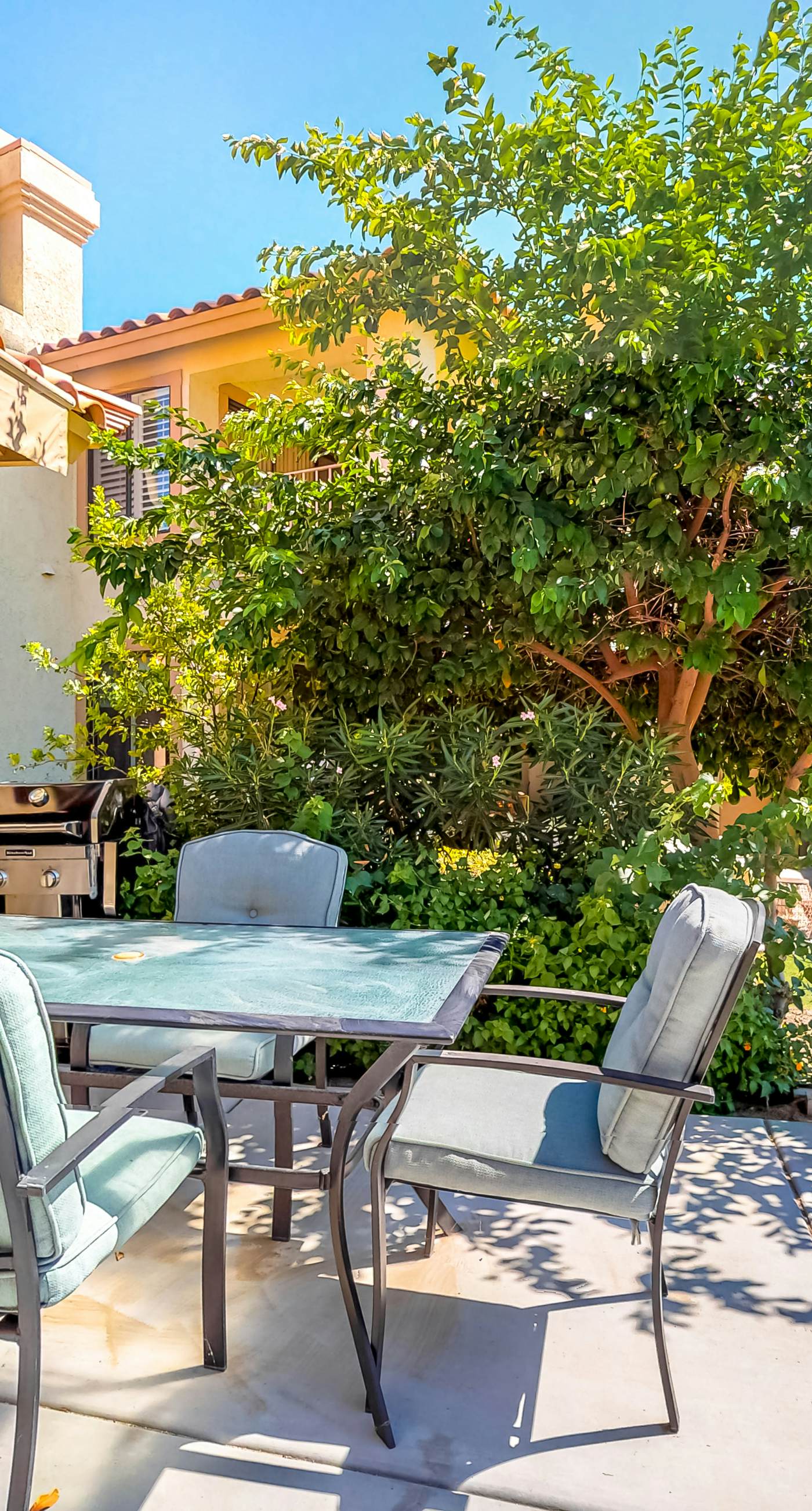 Mountain View Escape