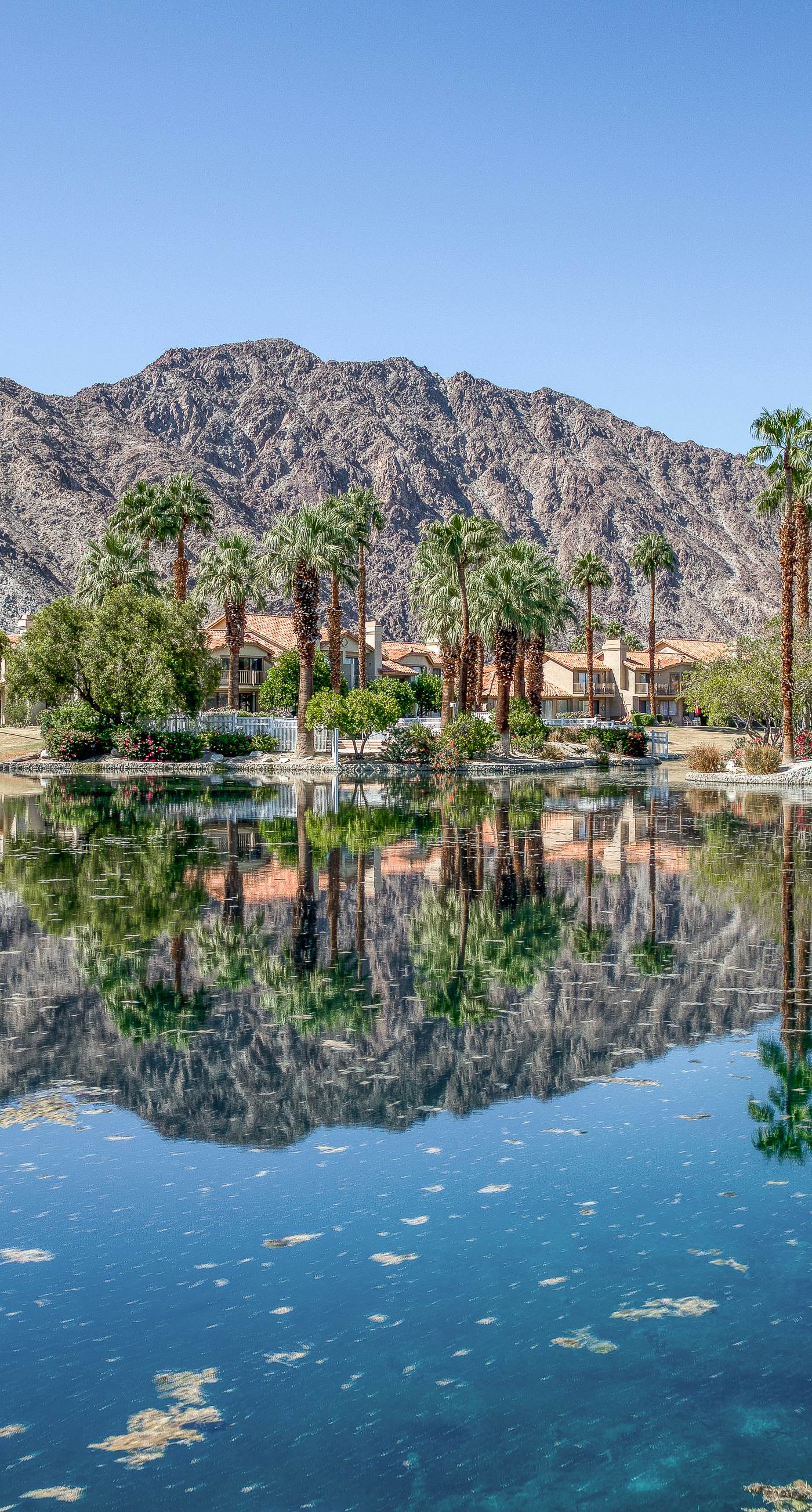 Mountain View Escape