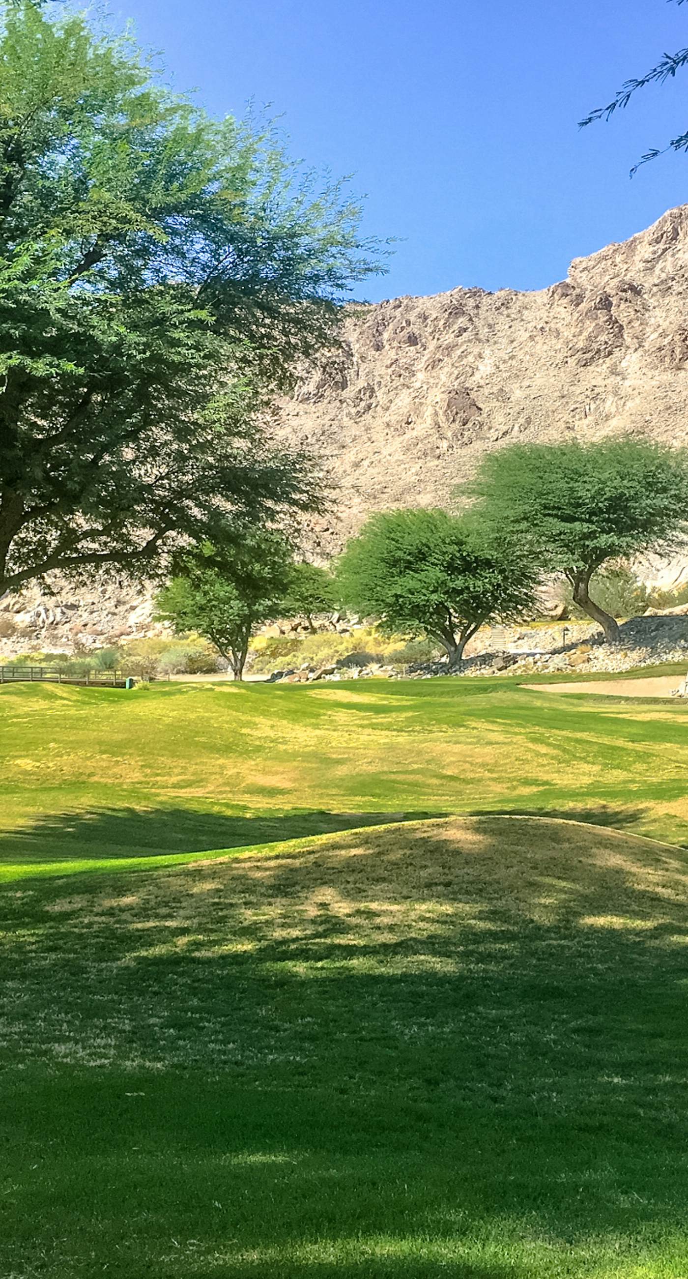 Mountain View Escape