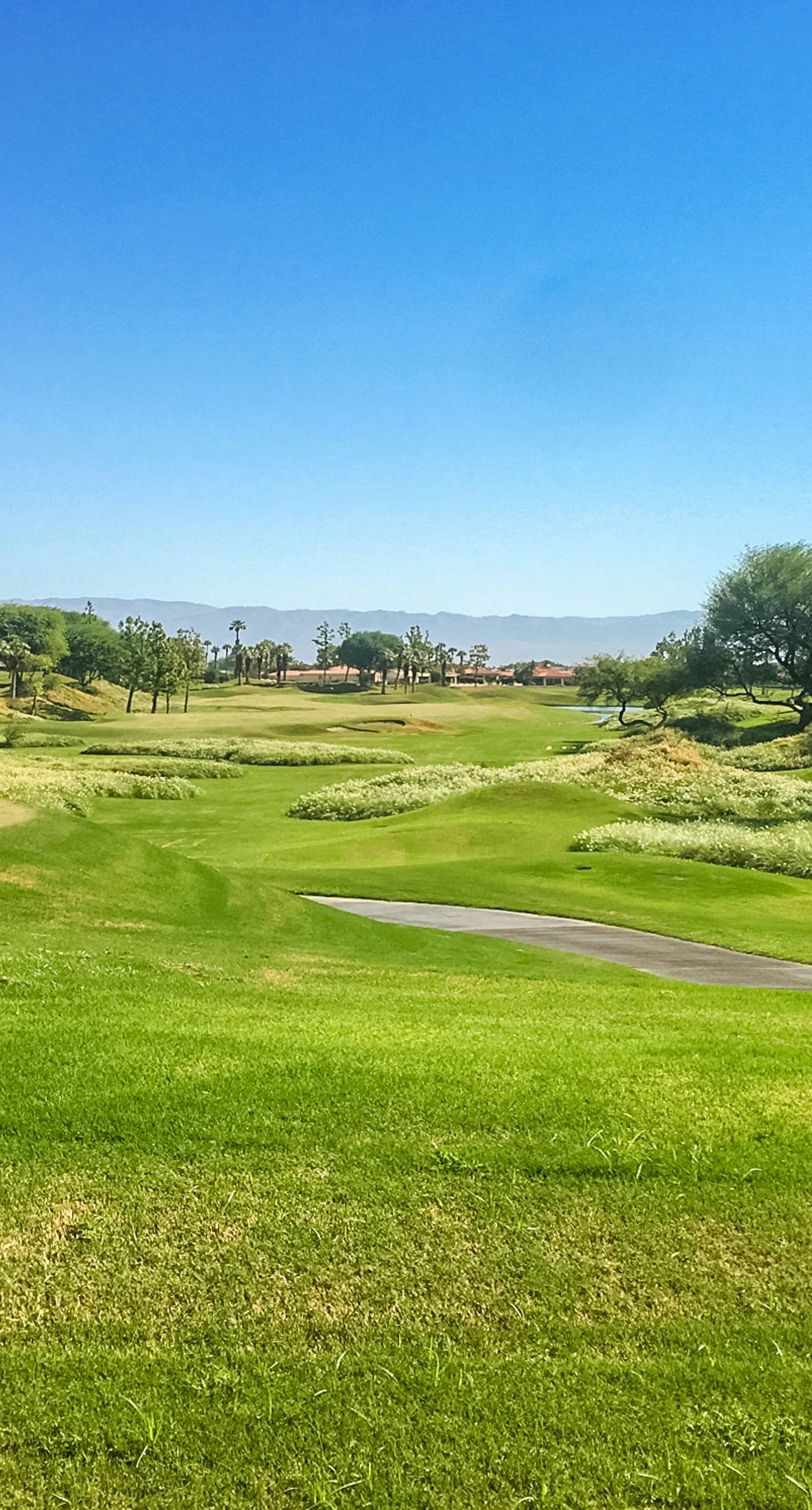 Mountain View Escape