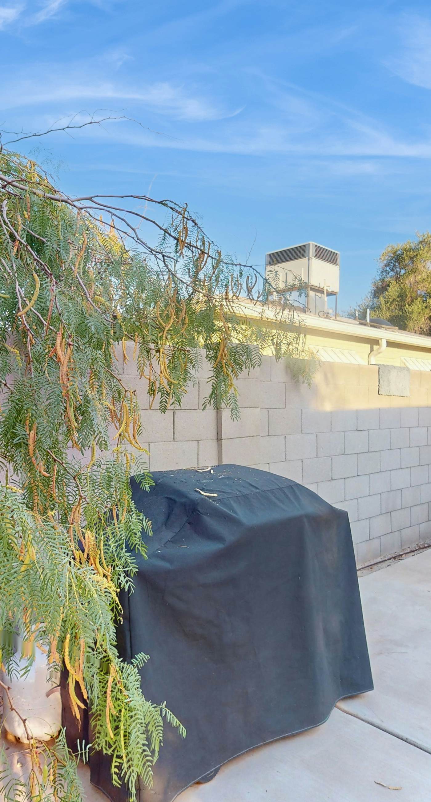 Living the Coronado Dream